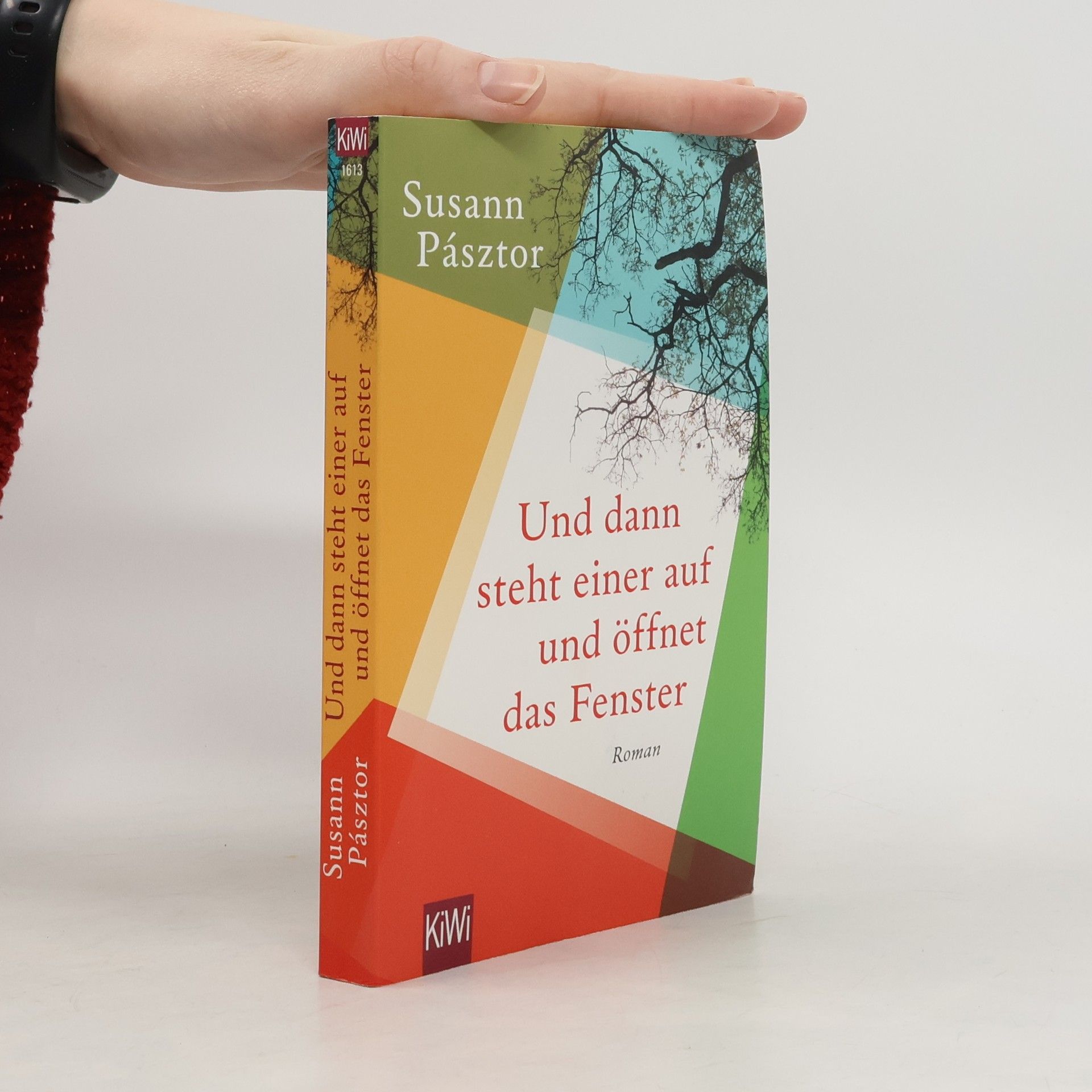 Susann Pásztor Und dann steht einer auf und öffnet das Fenster