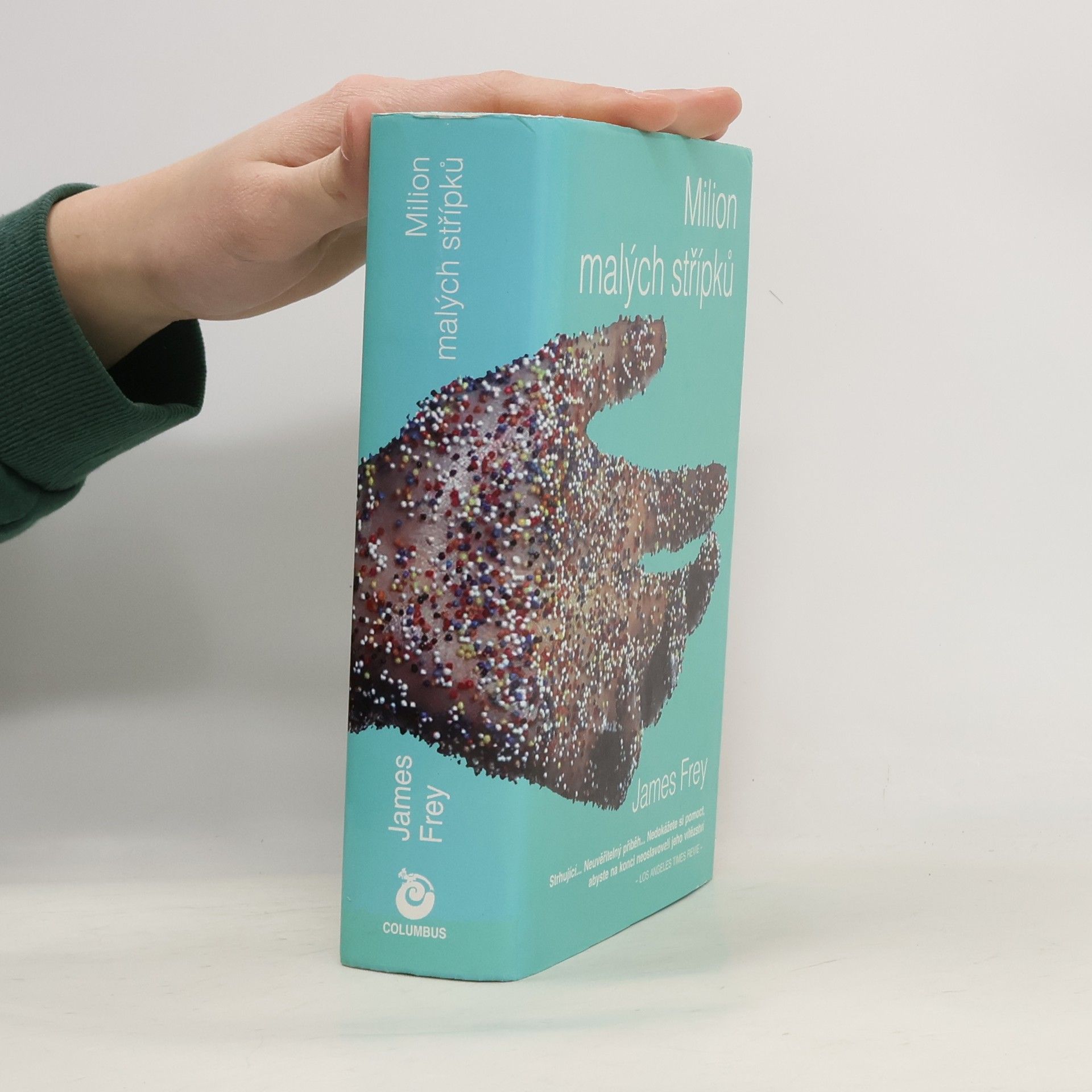James Frey Milion malých střípků