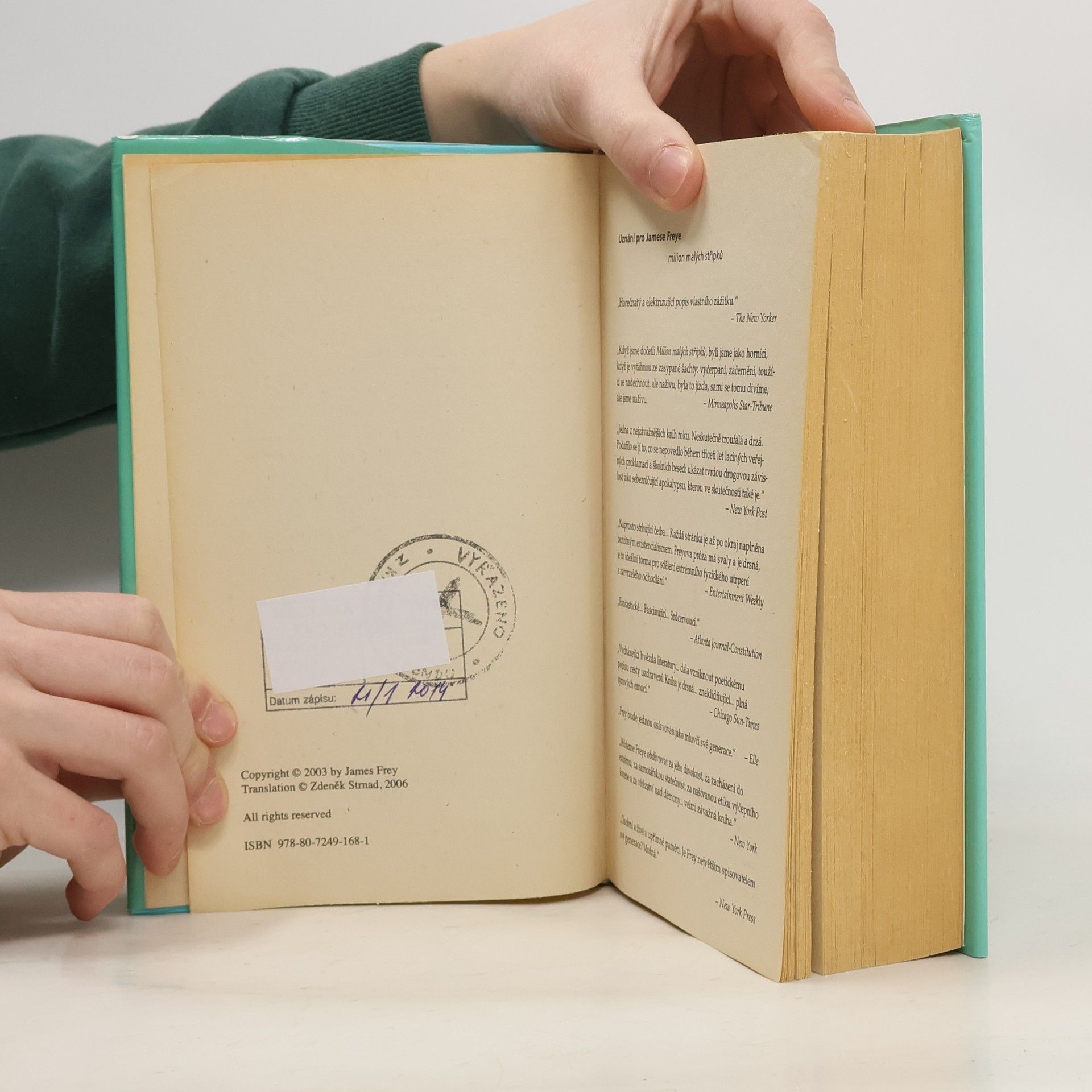 James Frey Milion malých střípků