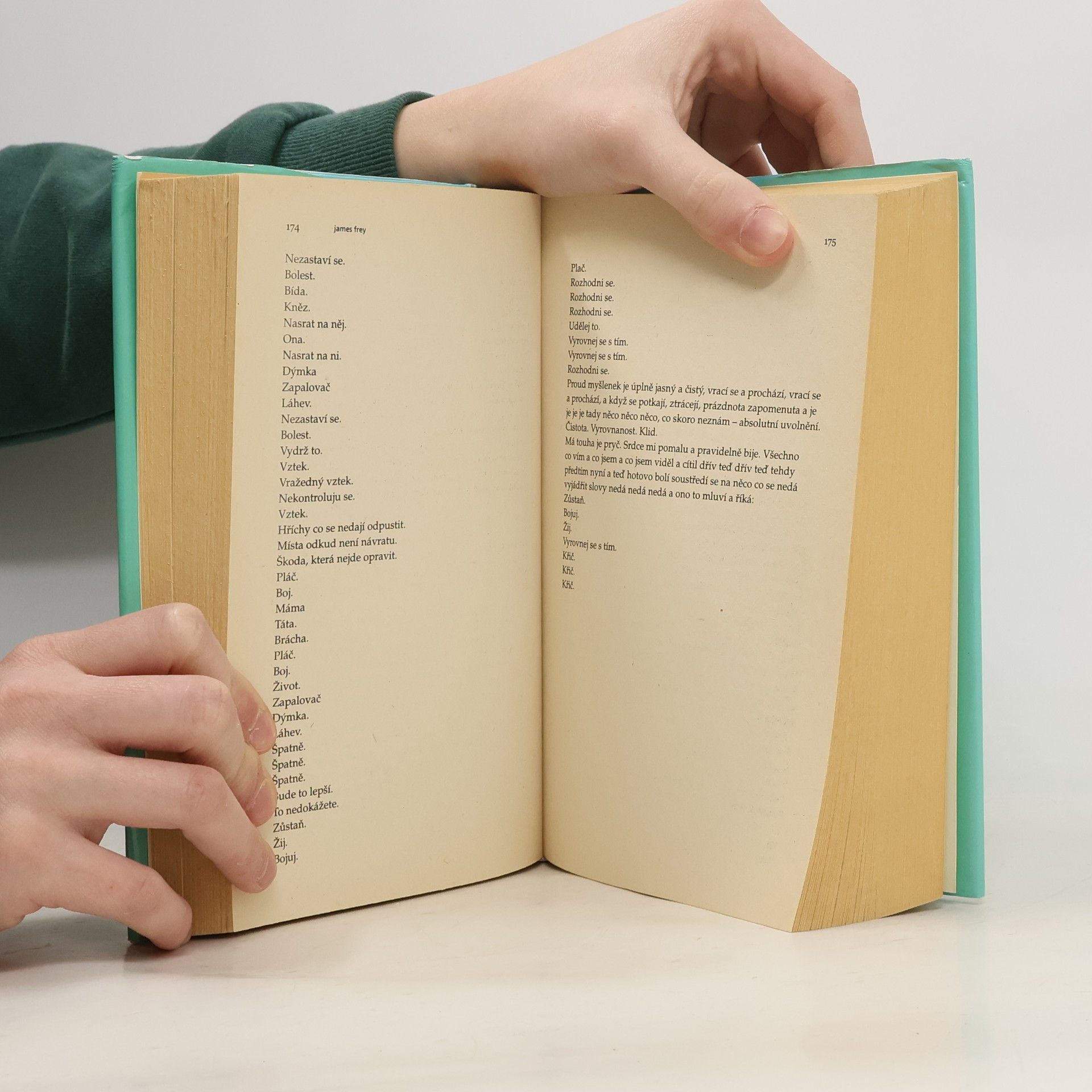 James Frey Milion malých střípků