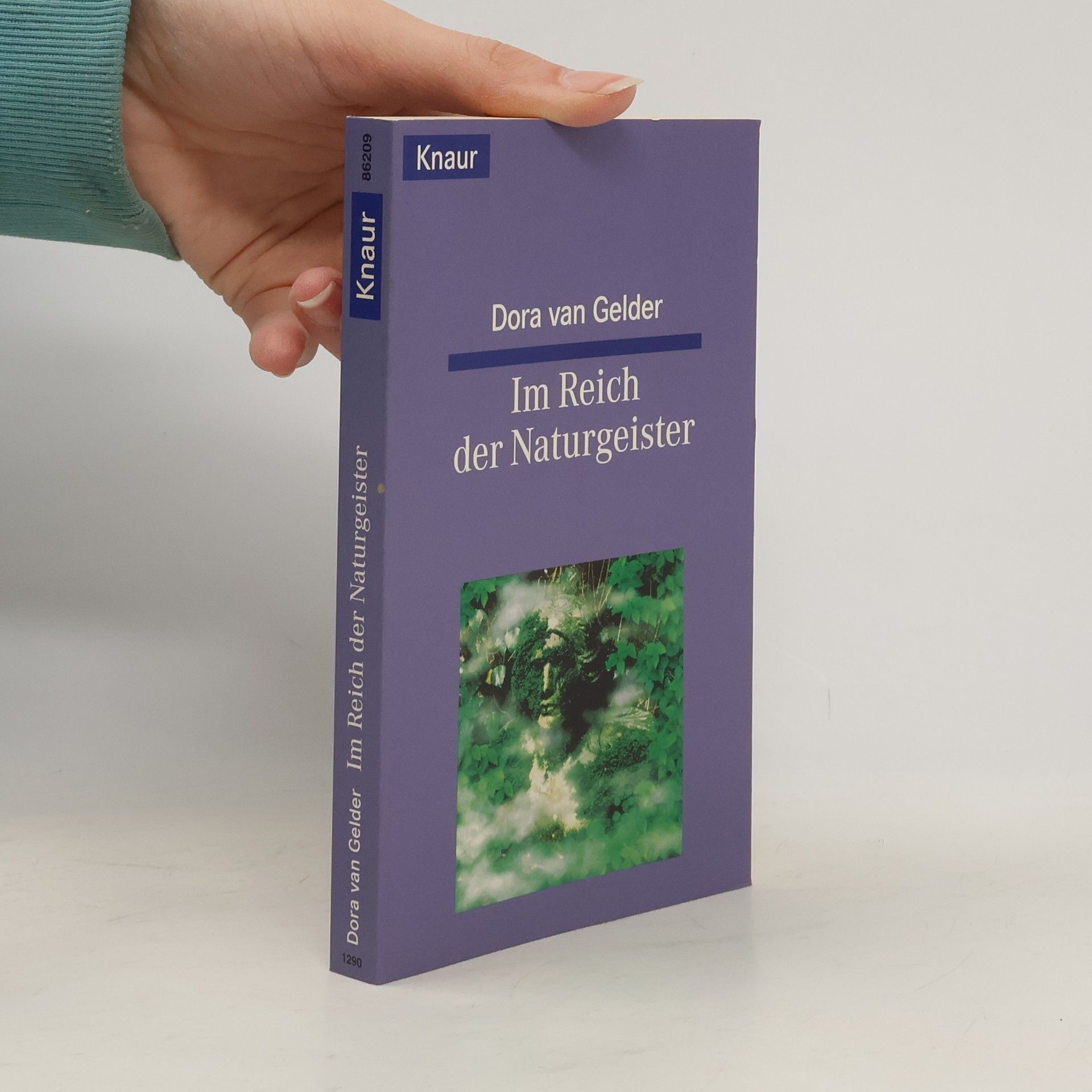 Dora Kunz Im Reich der Naturgeister