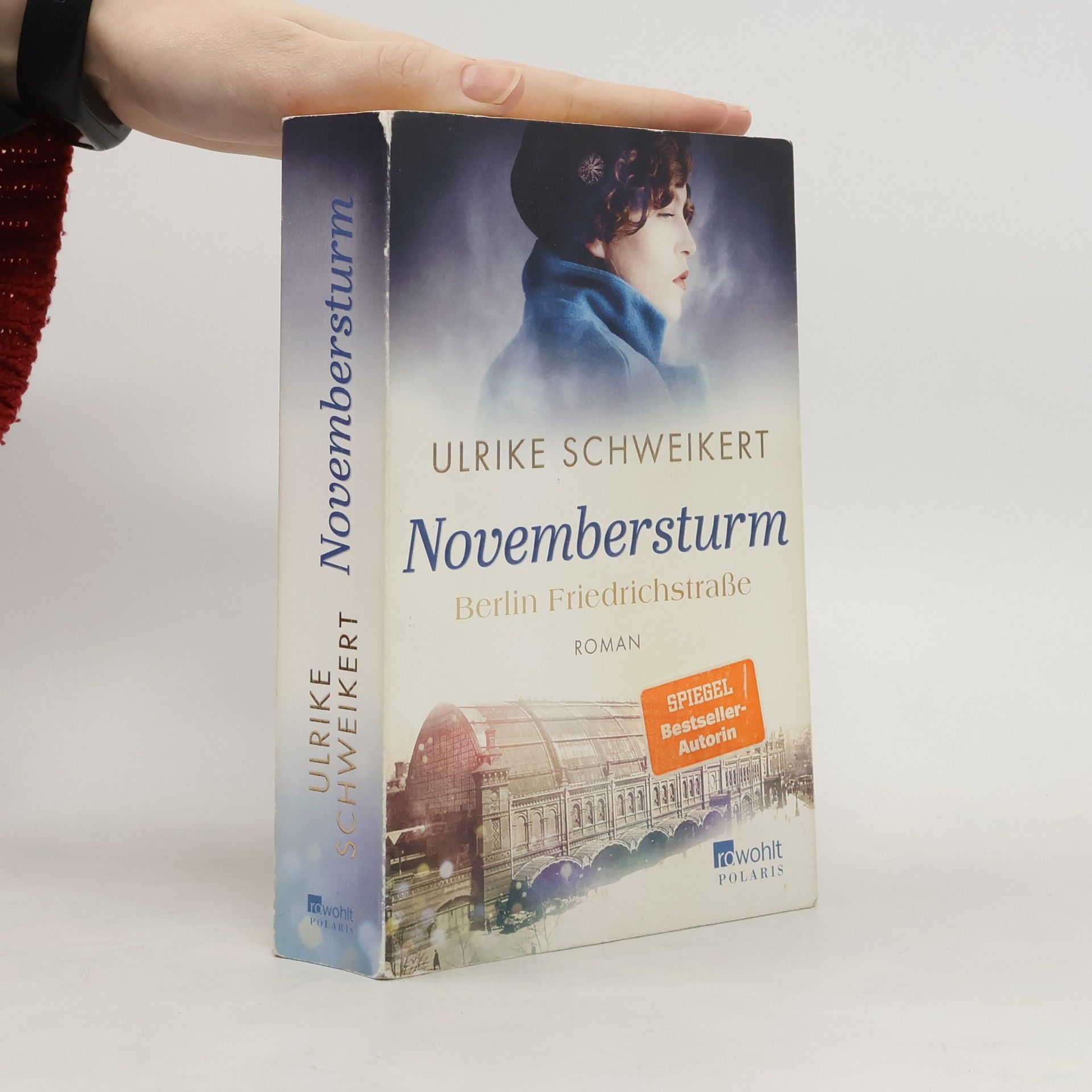 Ulrike Schweikert Berlin Friedrichstraße: Novembersturm