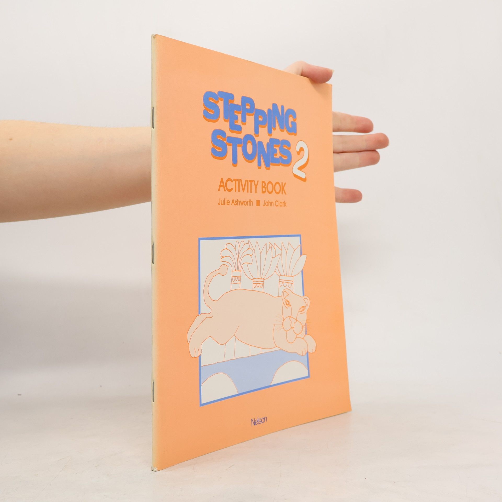 AA.VV. Stepping Stones 2. Activity book