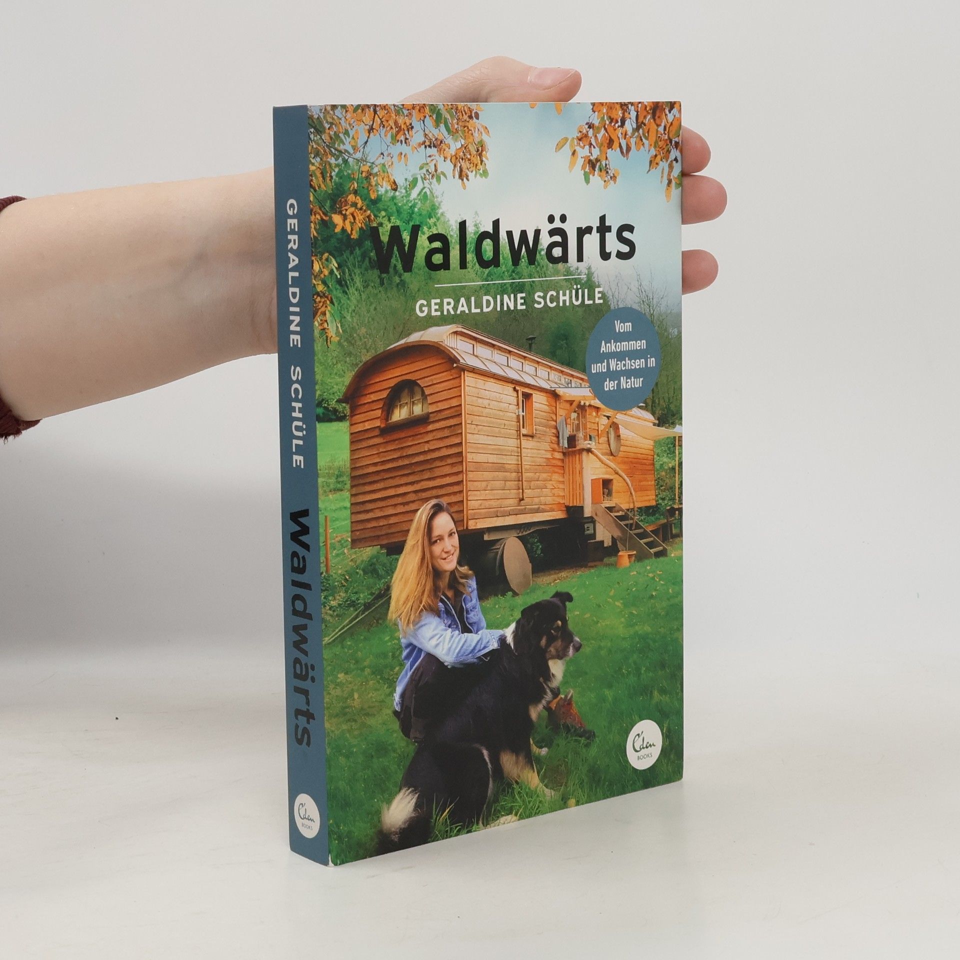 Geraldine Schüle Waldwärts