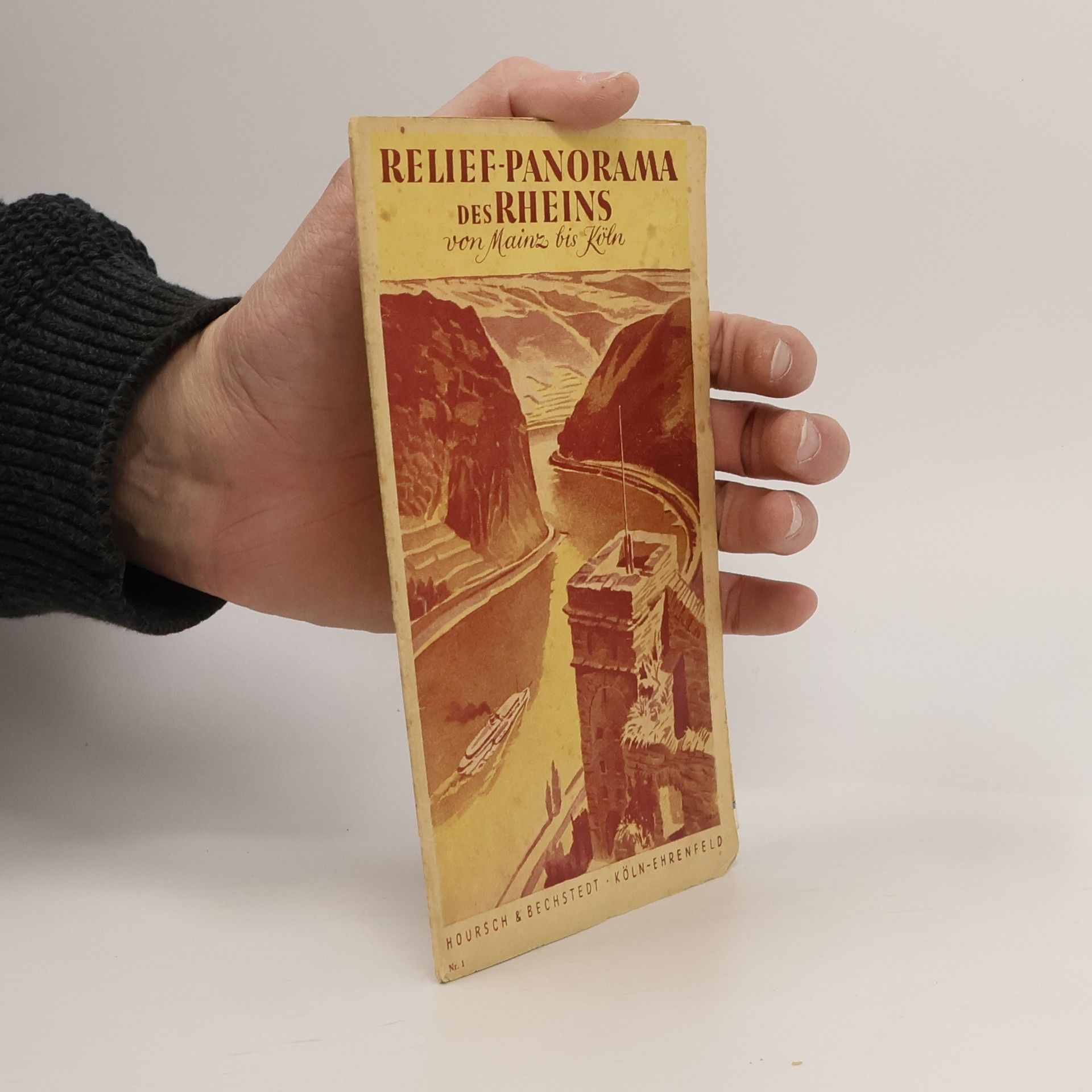 Autorenkollektiv Relief-Panorama des Rheins von Mainz bis Köln