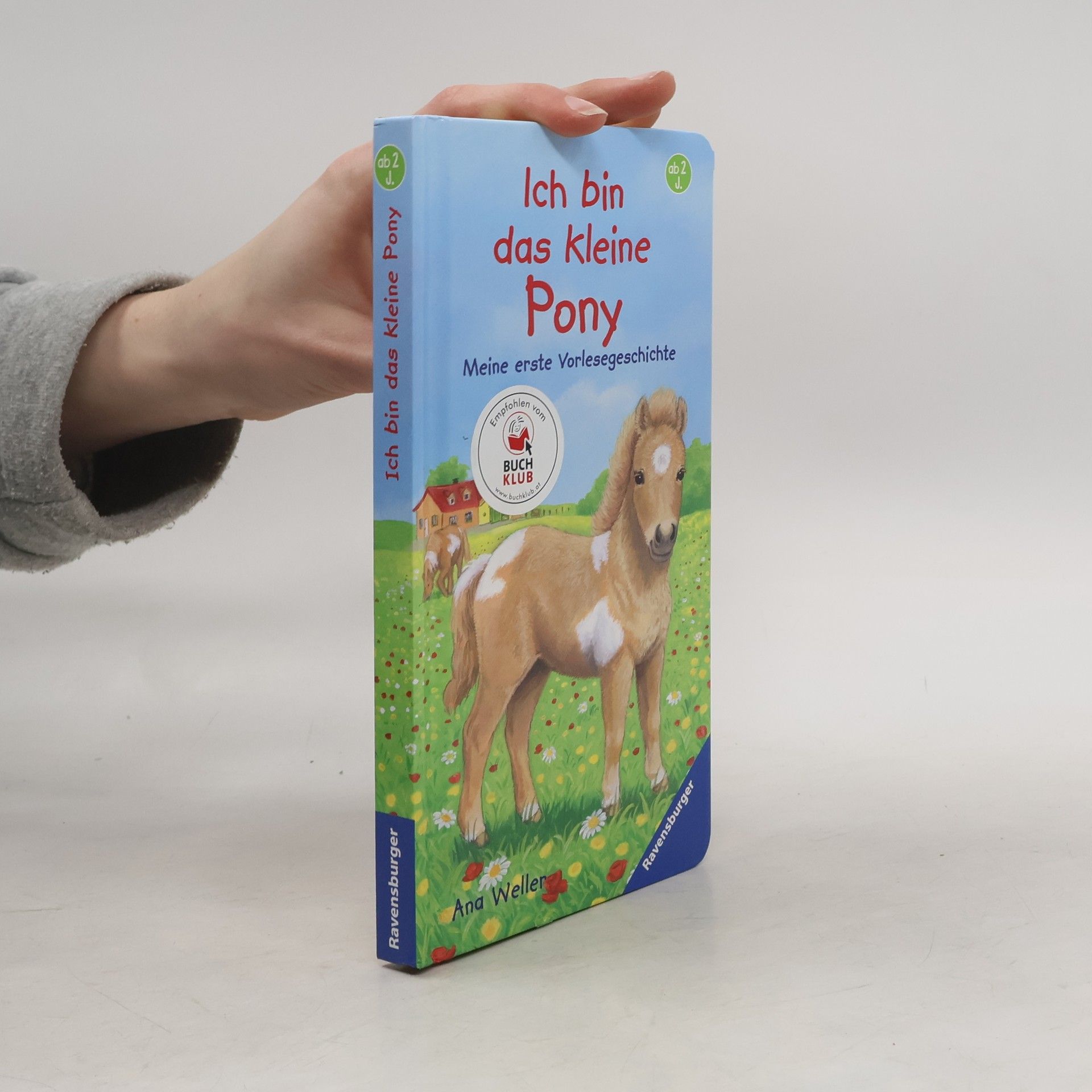 Ana Weller Ich bin das kleine Pony