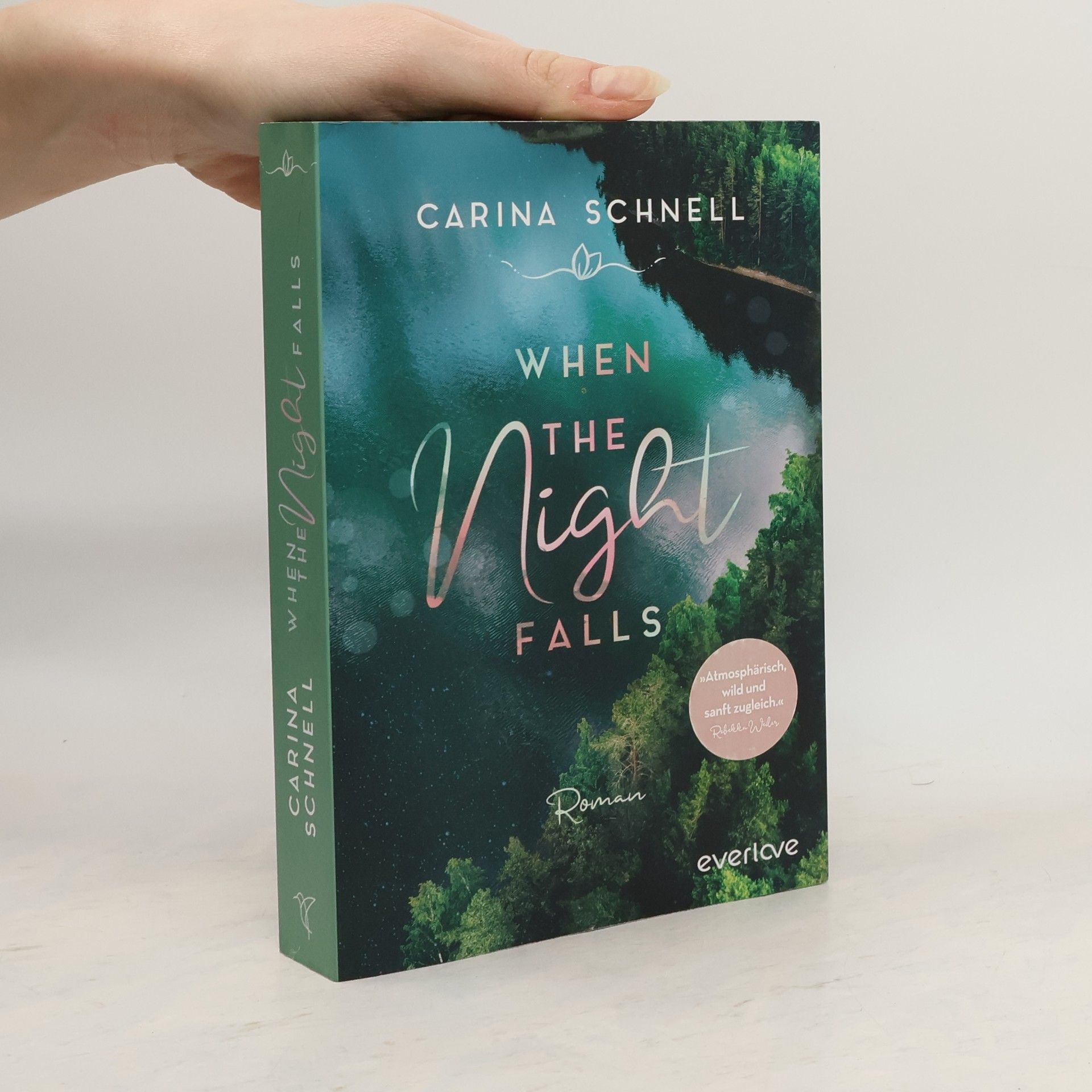 Carina Schnell When the Night Falls