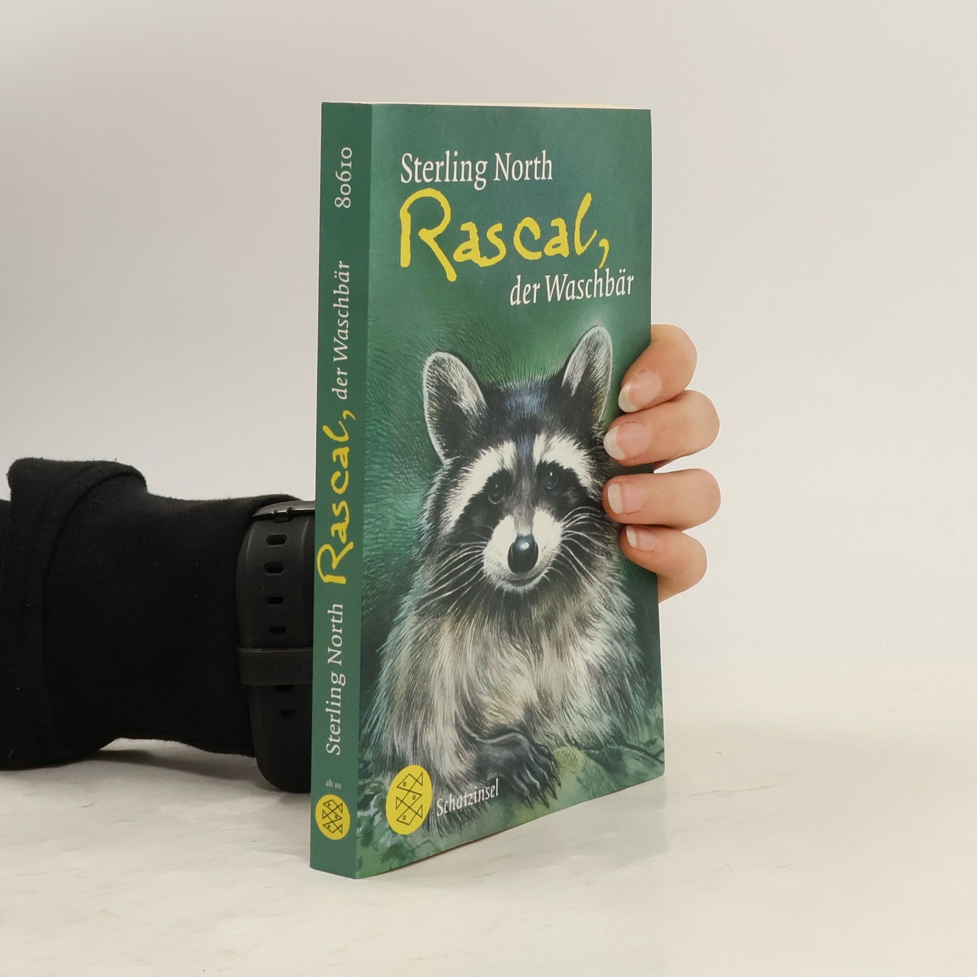 Rascal, der Waschbär