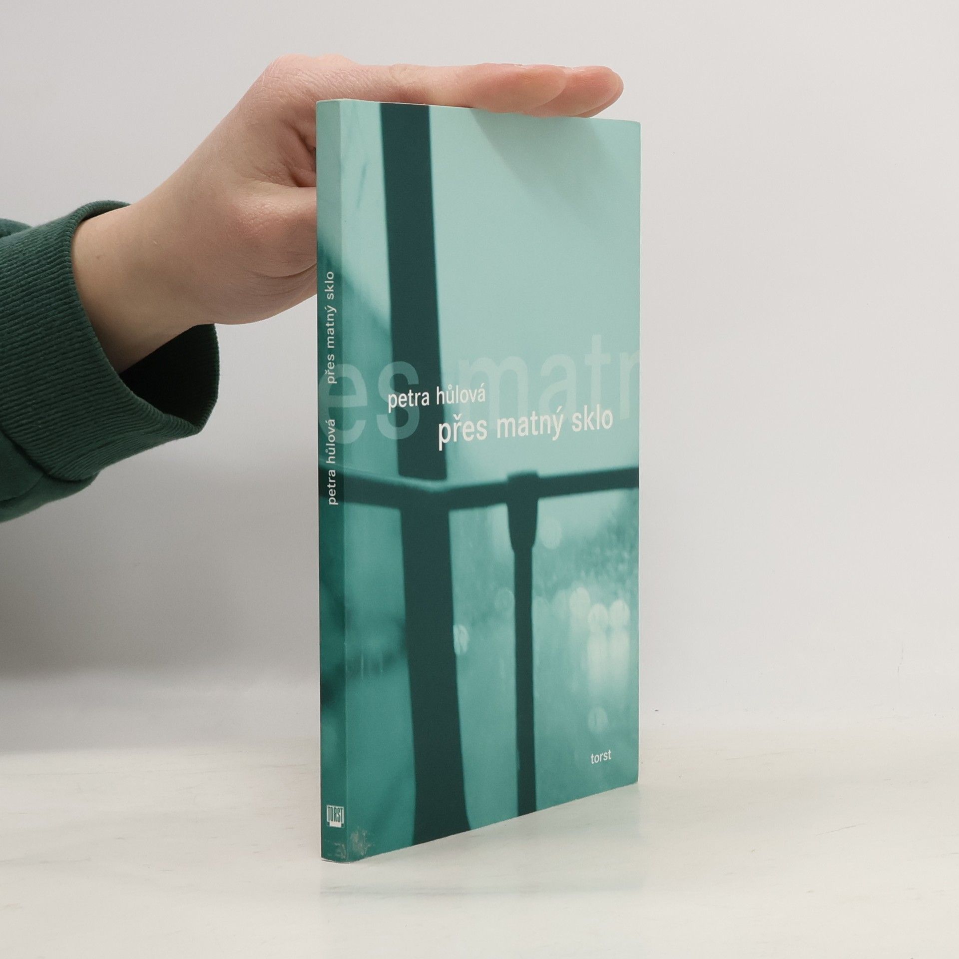 Hůlová Petra Přes matný sklo