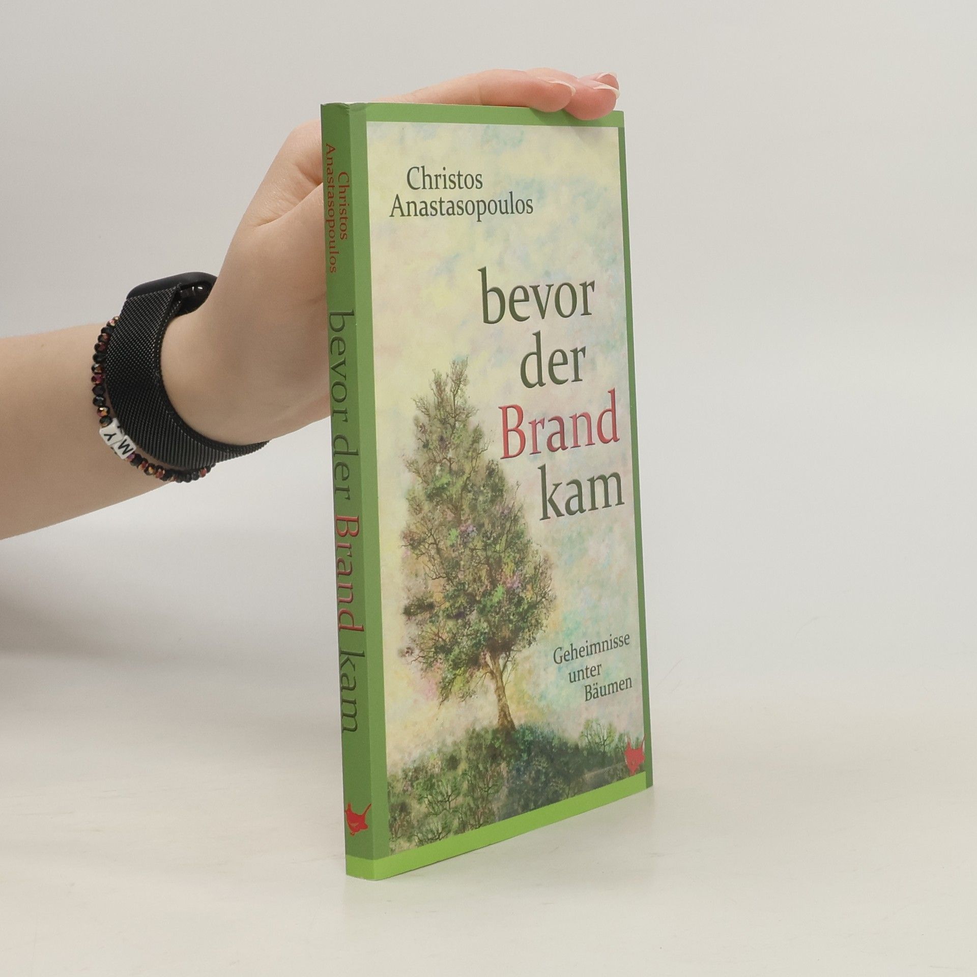 Christos Anastasopoulos Bevor der Brand kam