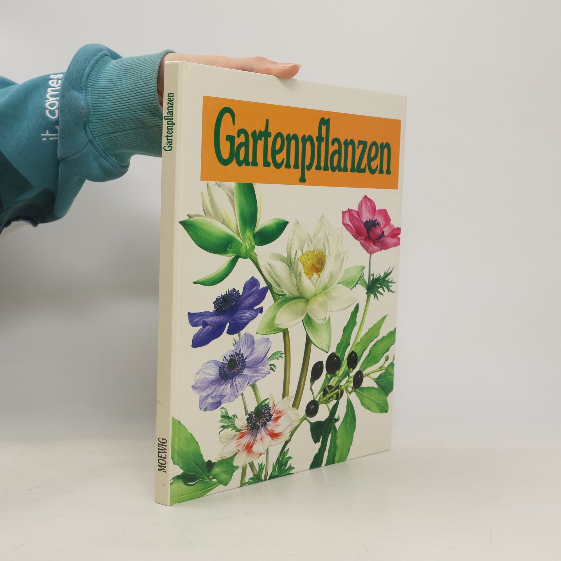 Doris Gottwald Gartenpflanzen
