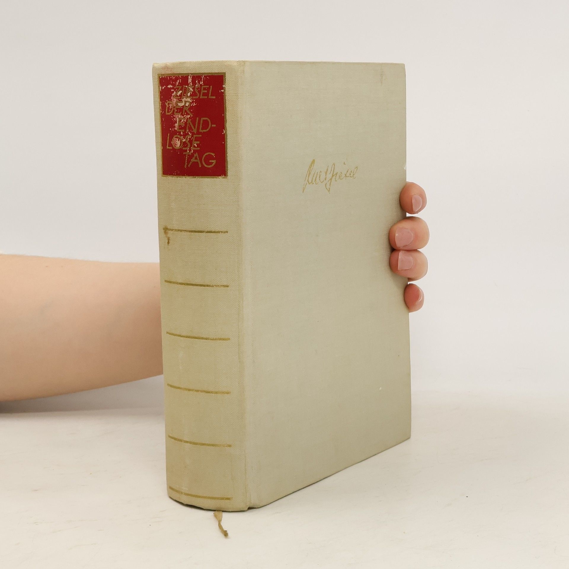 Kurt Ziesel Der Endlose tag