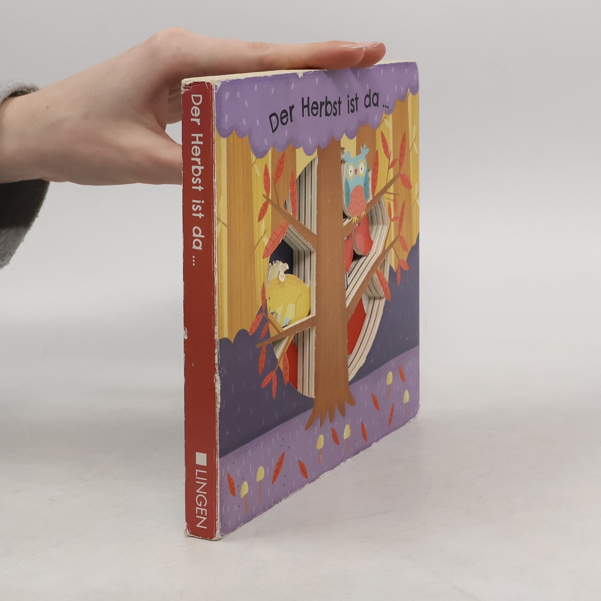 Der Herbst ist da ...