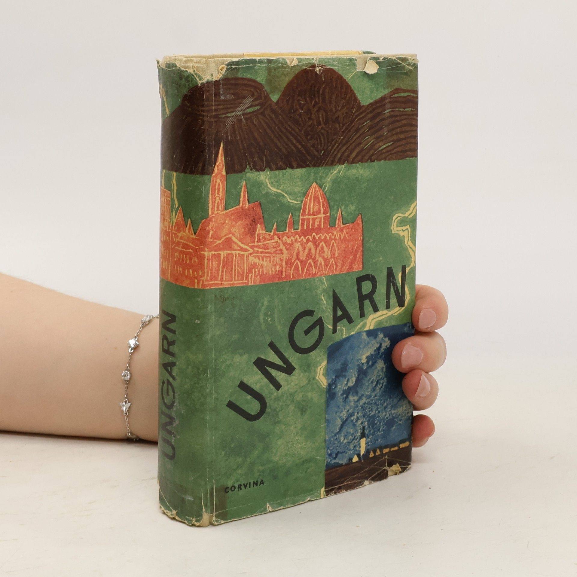 Kolektív autorov Ungarn
