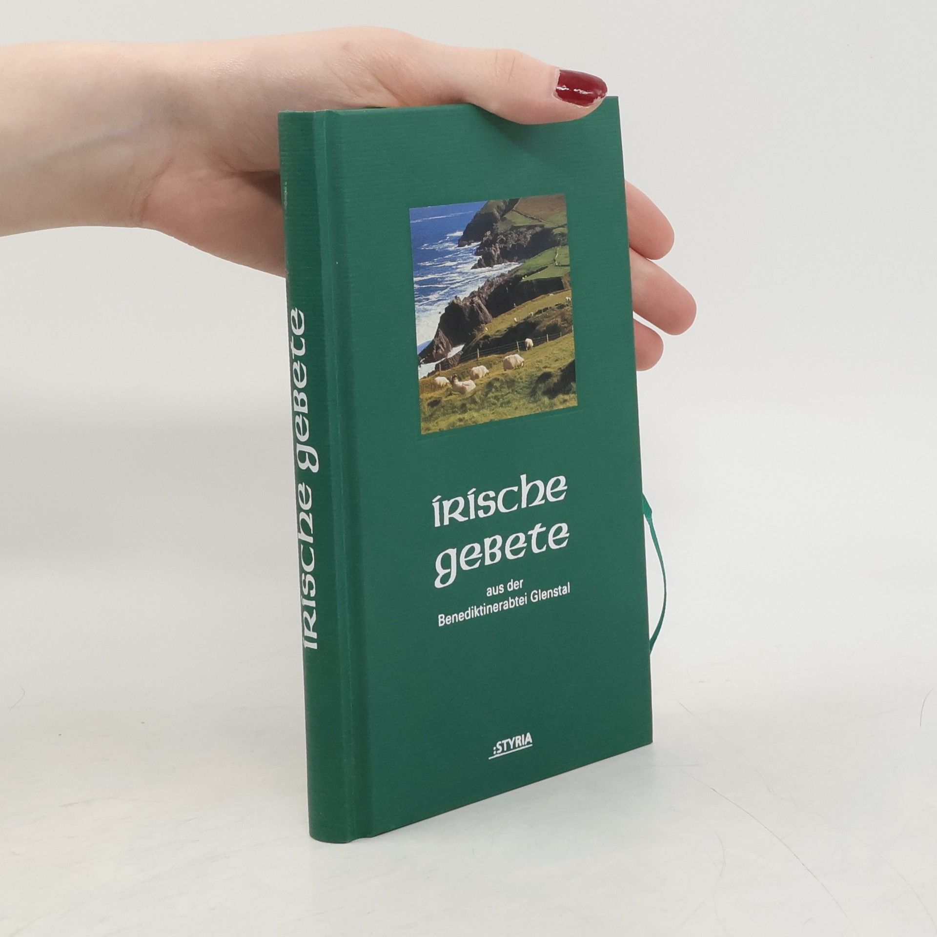 Kolektív autorov Irische Gebete. Aus der Benediktinerabtei von Glenstal.