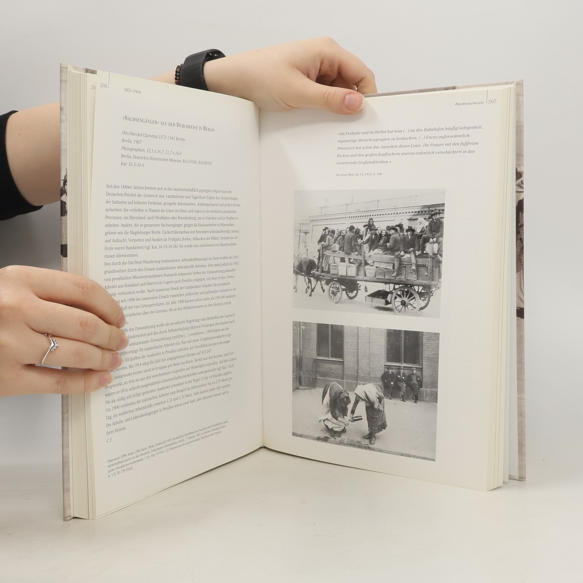 Rosmarie Beier de Haan Zuwanderungsland Deutschland