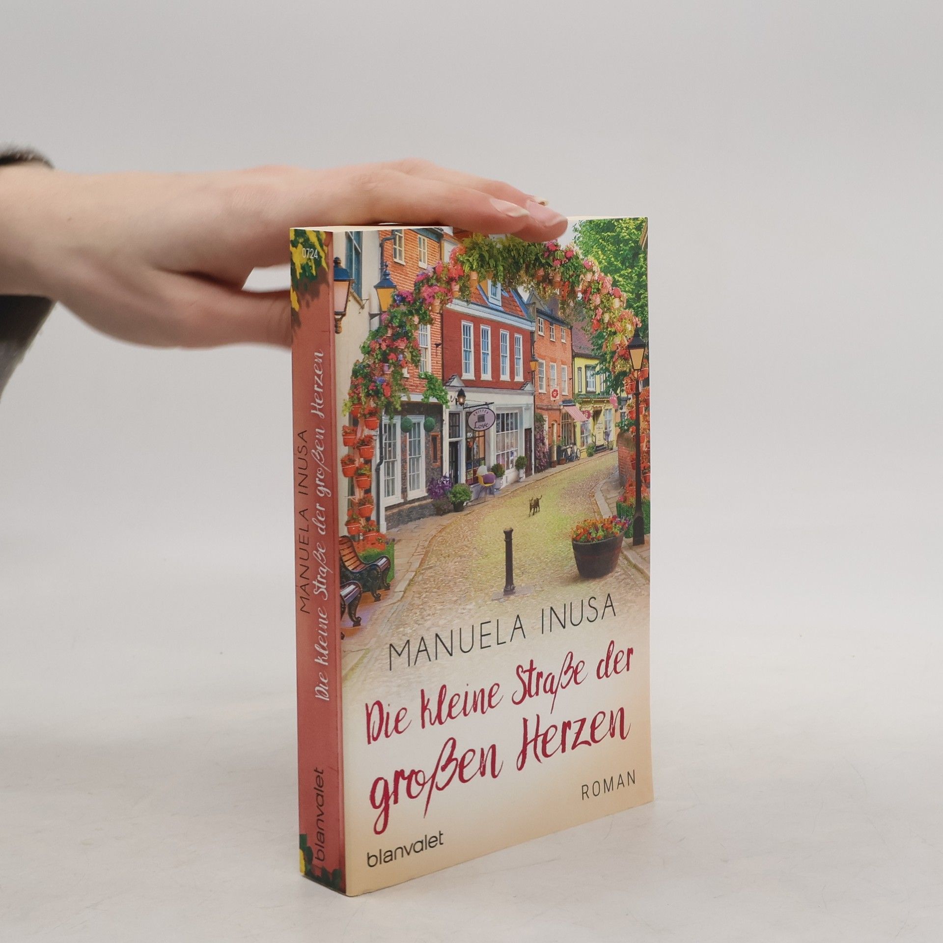 Manuela Inusa Die kleine Straße der großen Herzen