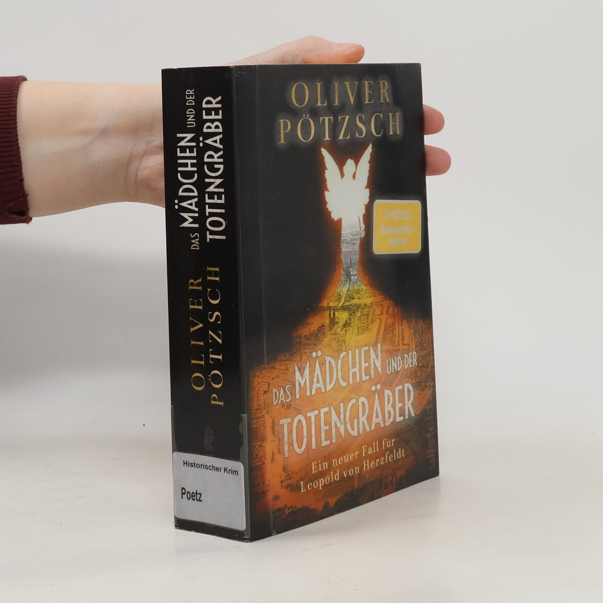 Oliver Pötzsch Das Mädchen und der Totengräber