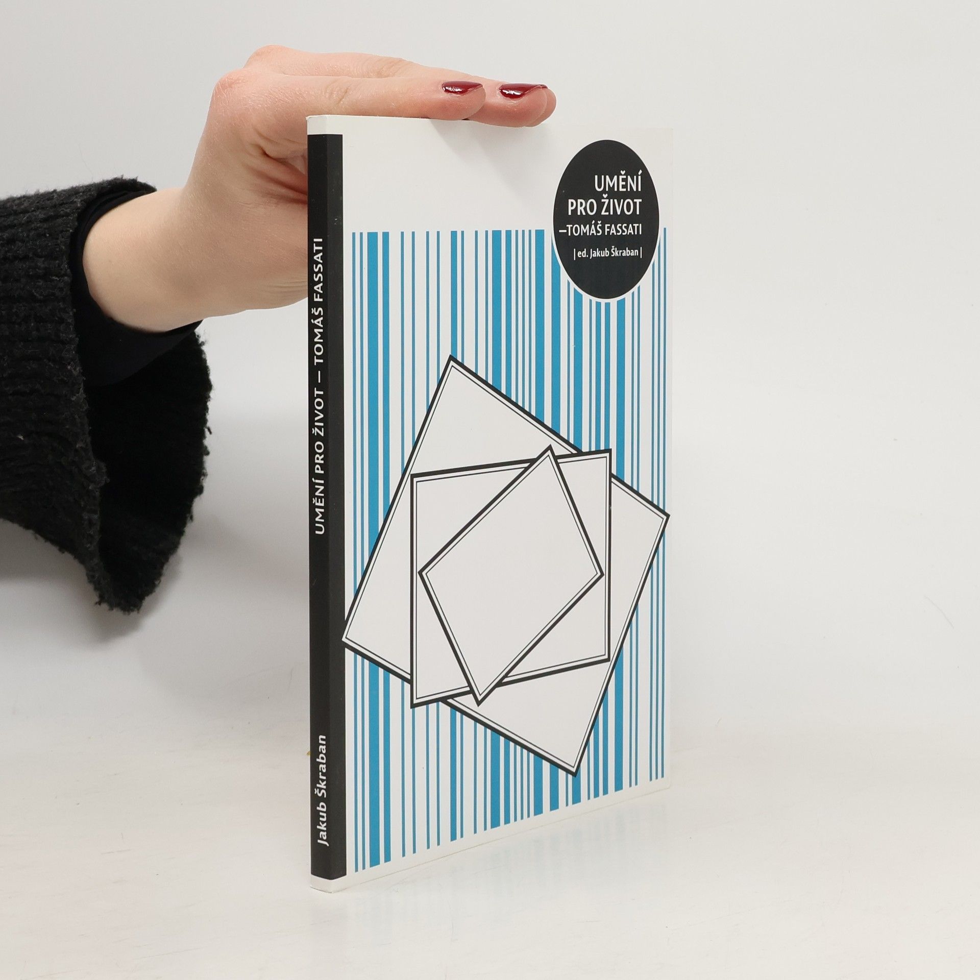 Umění pro život - Tomáš Fassati