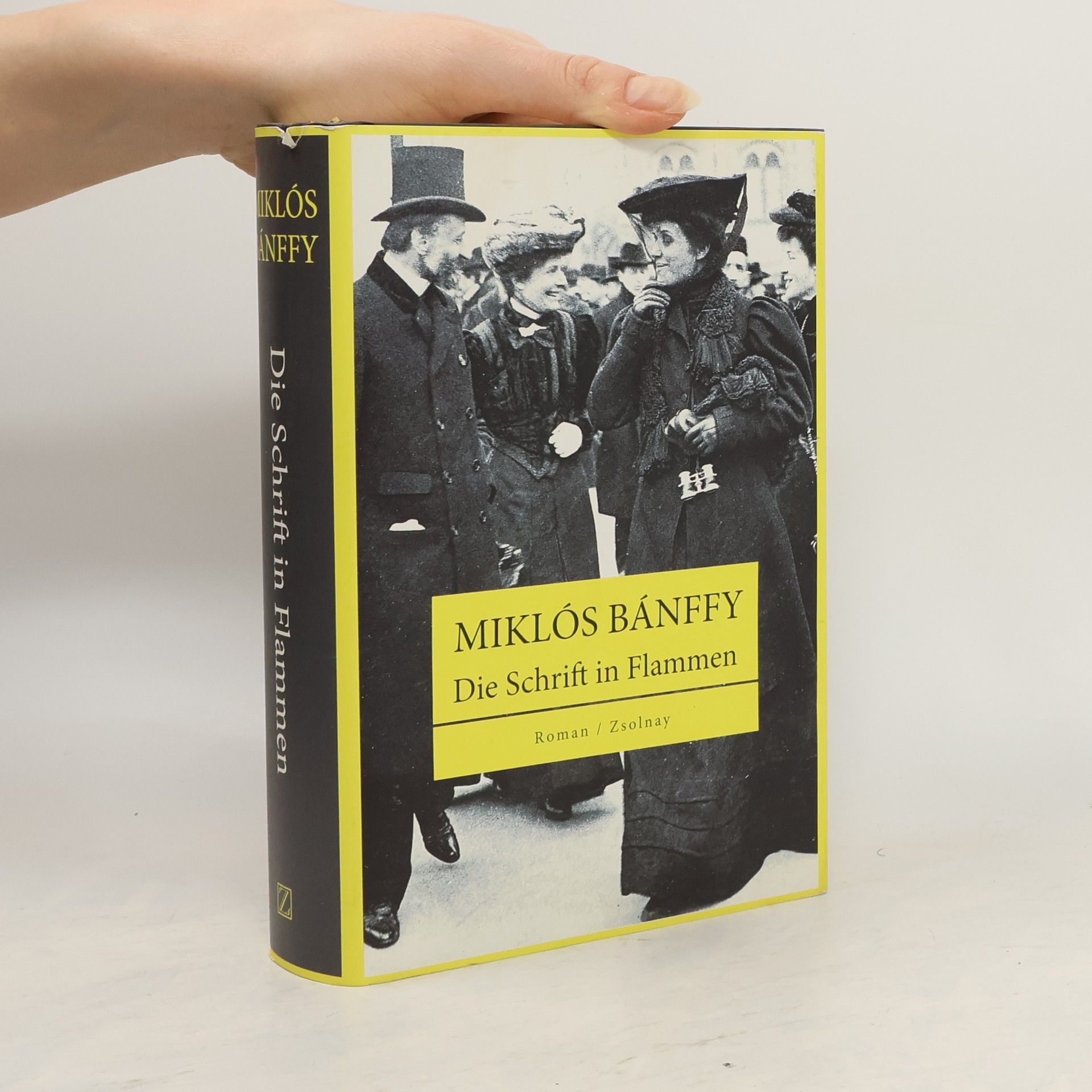 Miklós Bánffy Die Schrift in Flammen