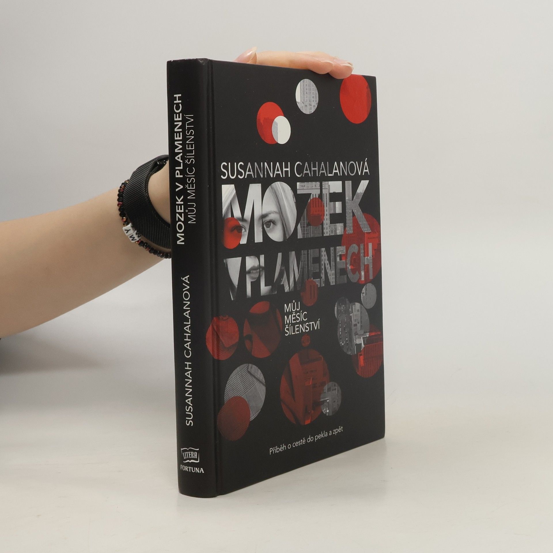 Susannah Cahalan Mozek v plamenech : můj měsíc šílenství