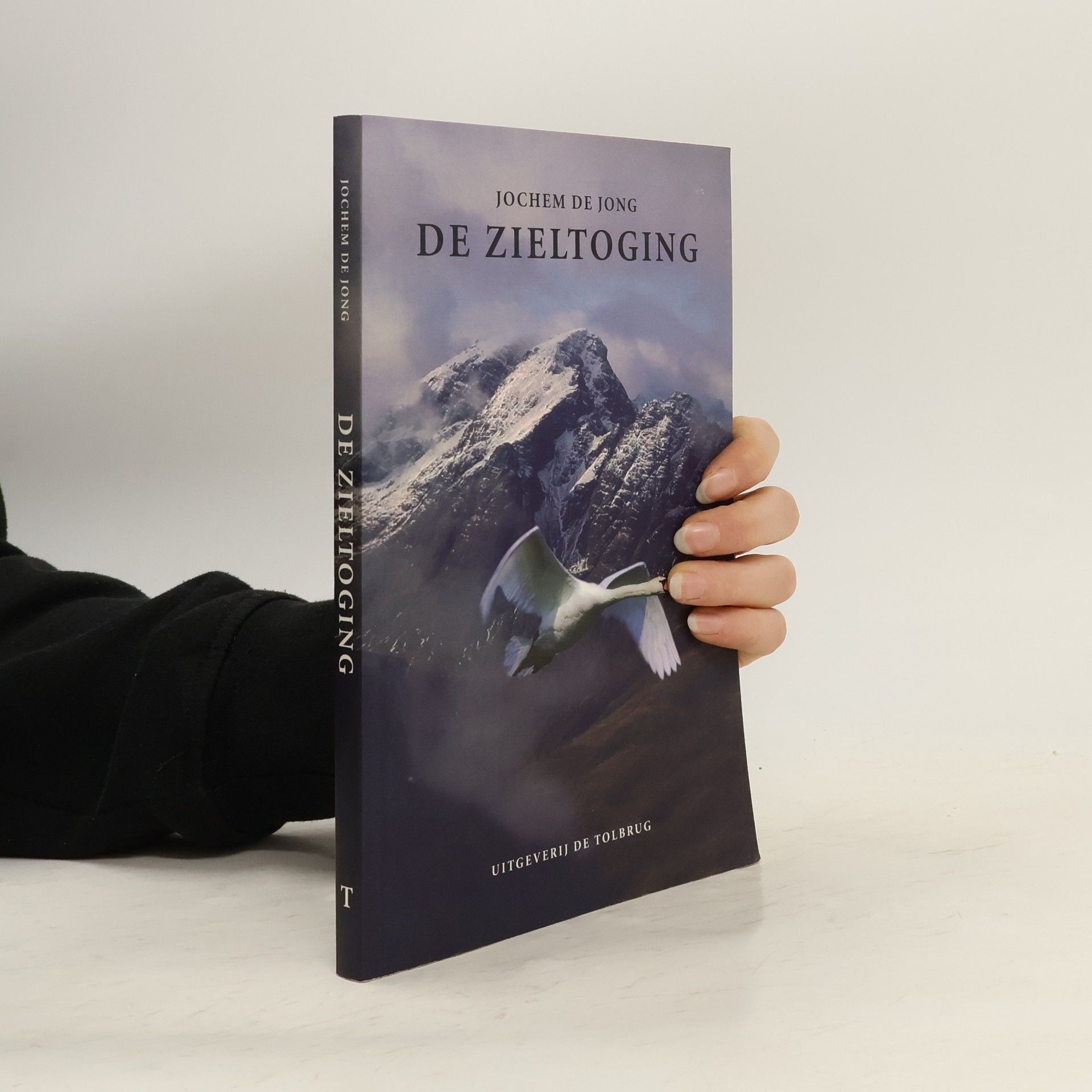 Jochem de Jong De Zieltoging