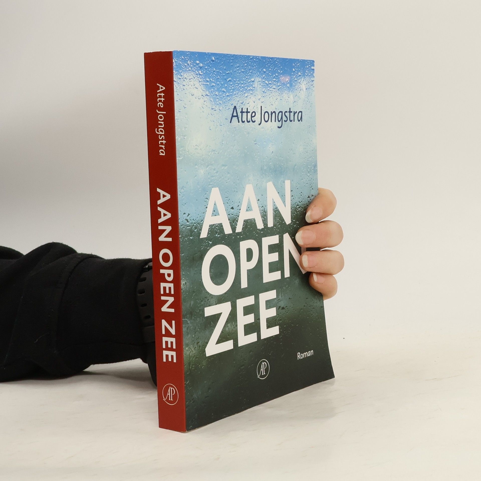 Atte Jongstra Aan open zee