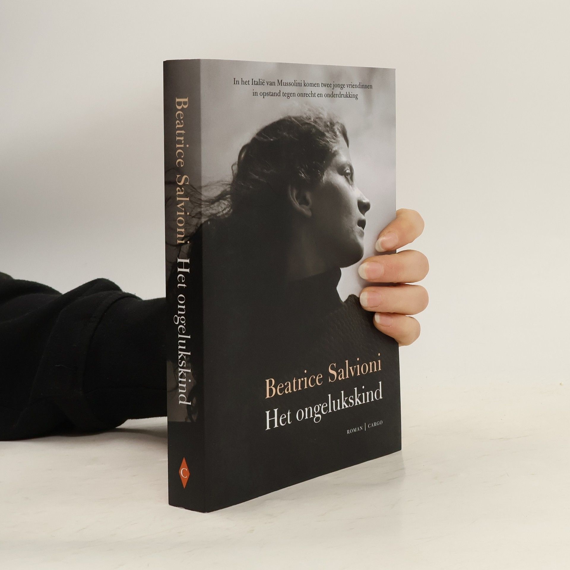 Lies Lavrijsen Het ongelukskind