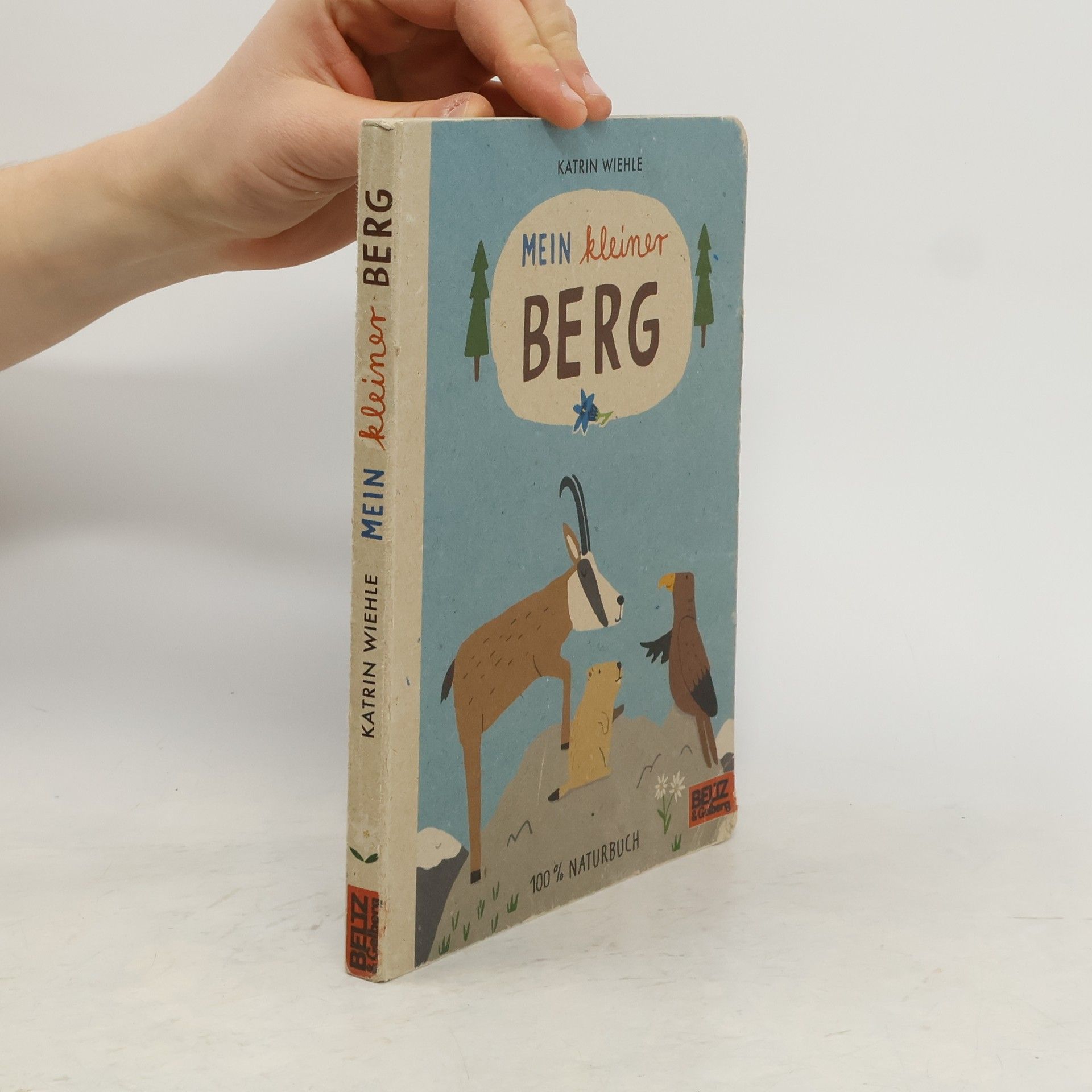 Katrin Wiehle Mein kleiner Berg