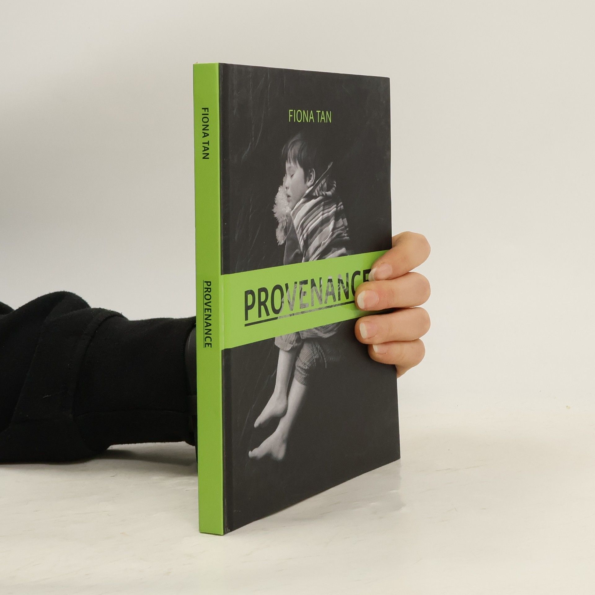 Collectif d'auteurs Fiona Tan