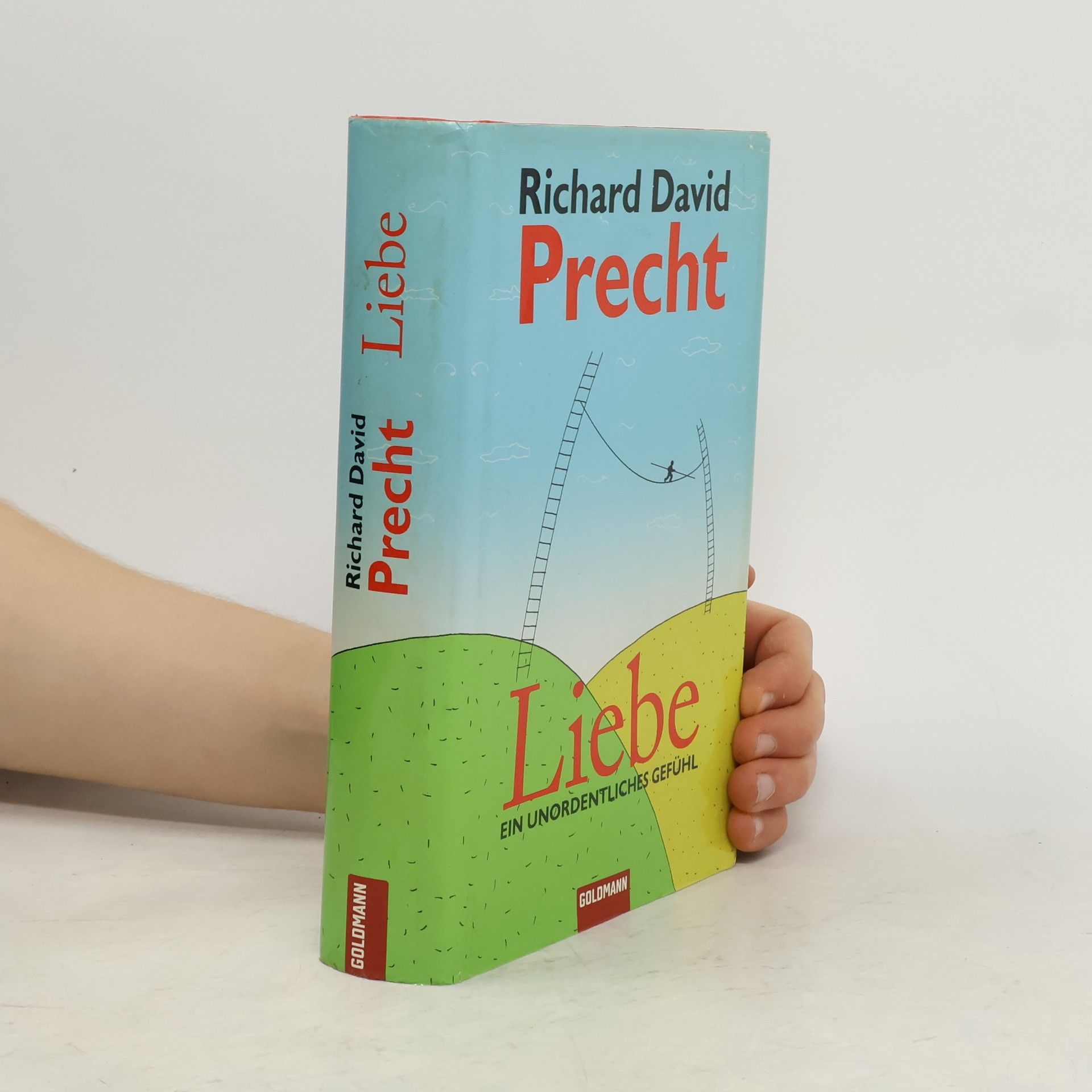 Richard David Precht Liebe ein Unordentliches Gefühl