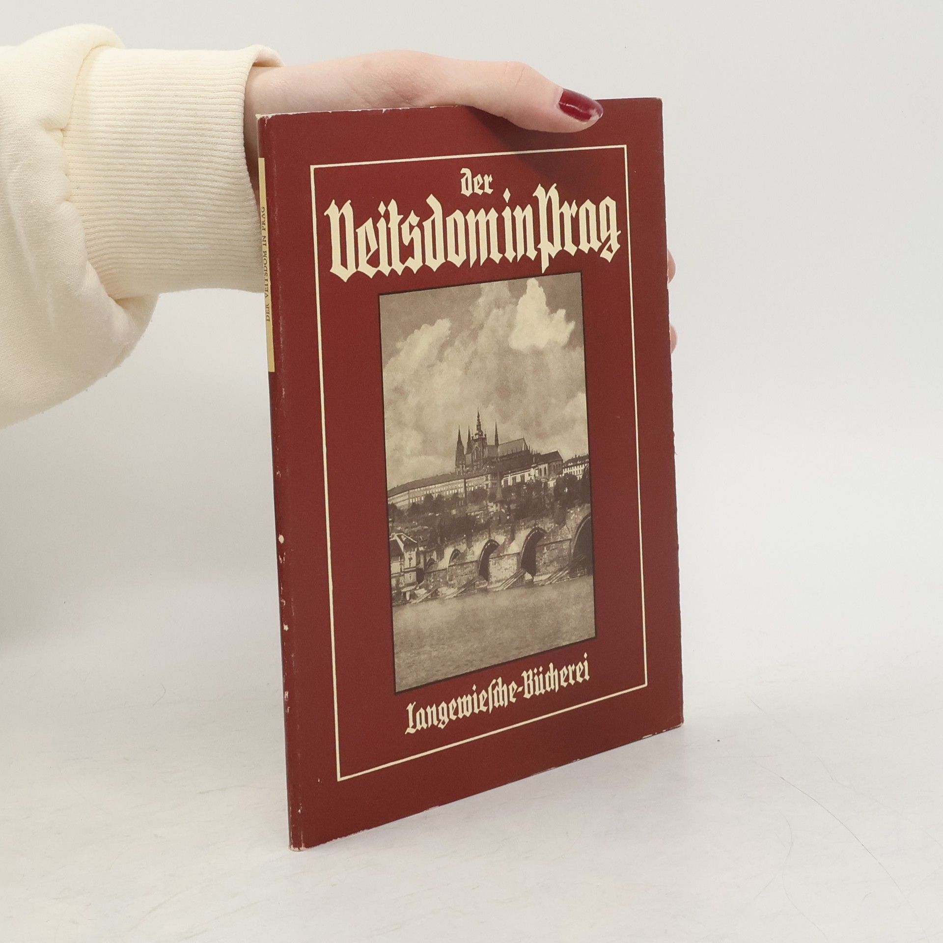 Autorenkollektiv Der Veitsdom in Prag