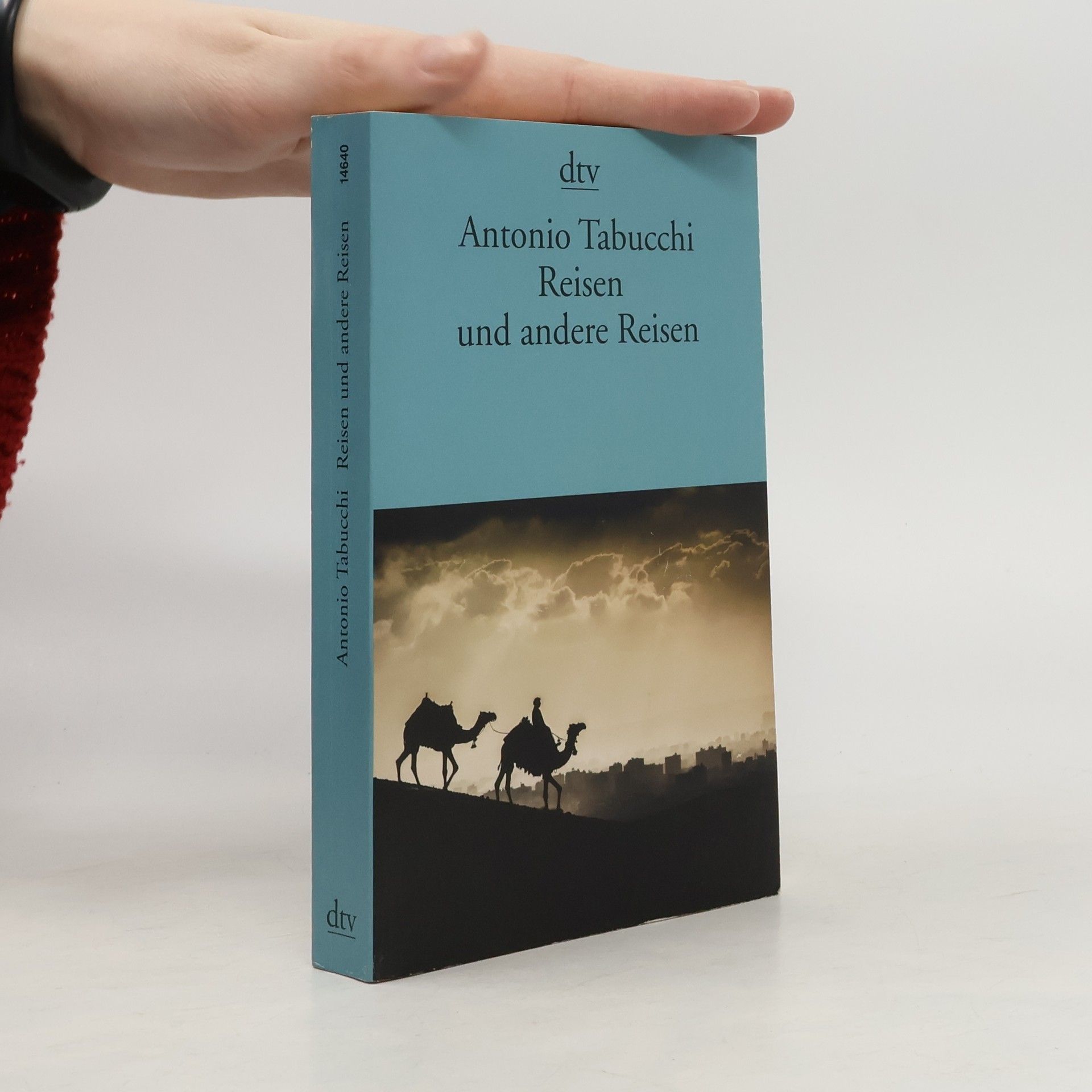 Antonio Tabucchi Reisen und andere Reisen