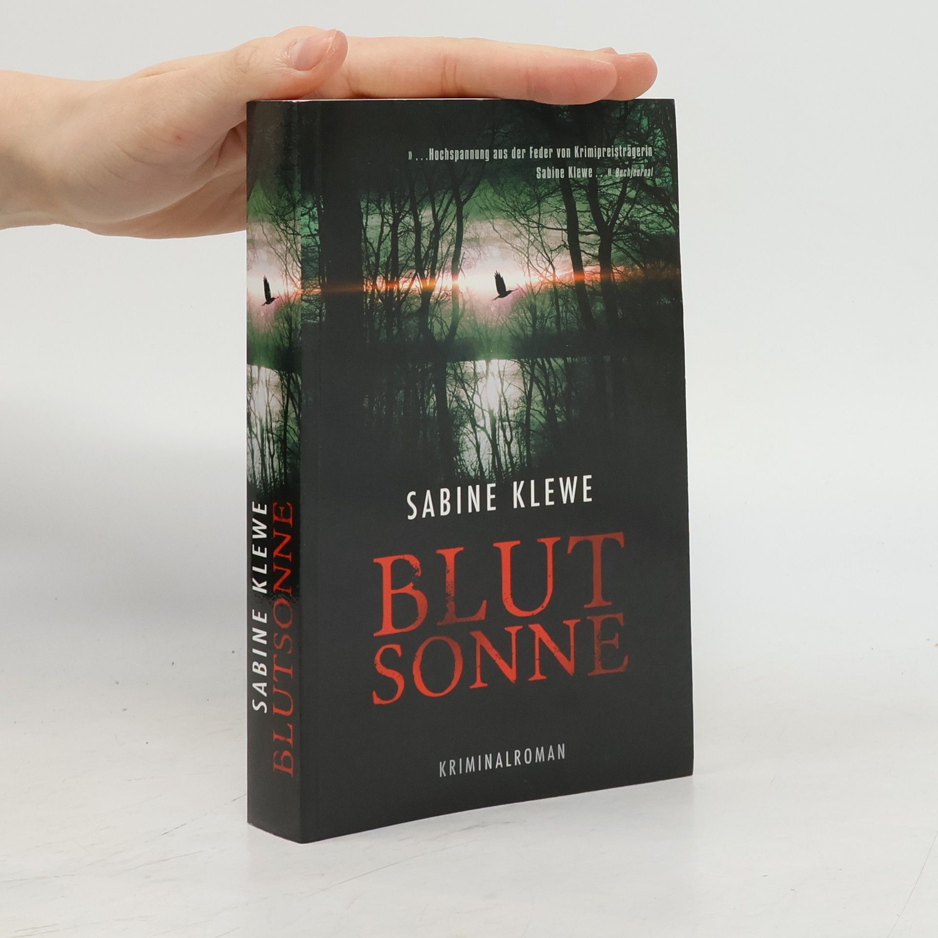Sabine Klewe Blut Sonne