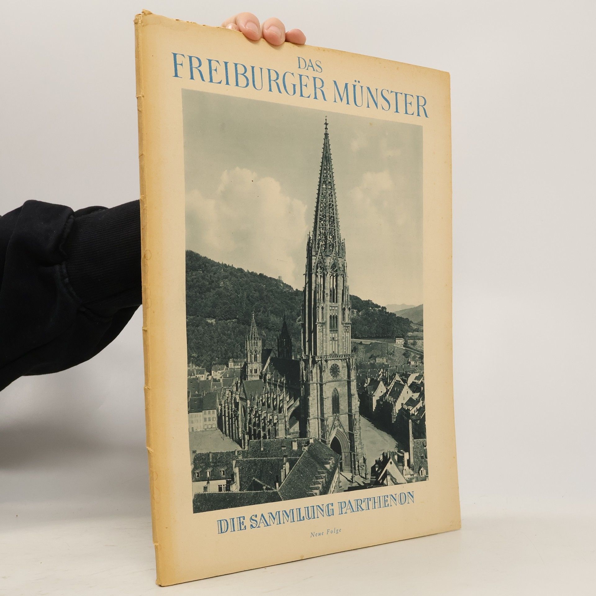 Auteurscollectief Das Freiburger Münster