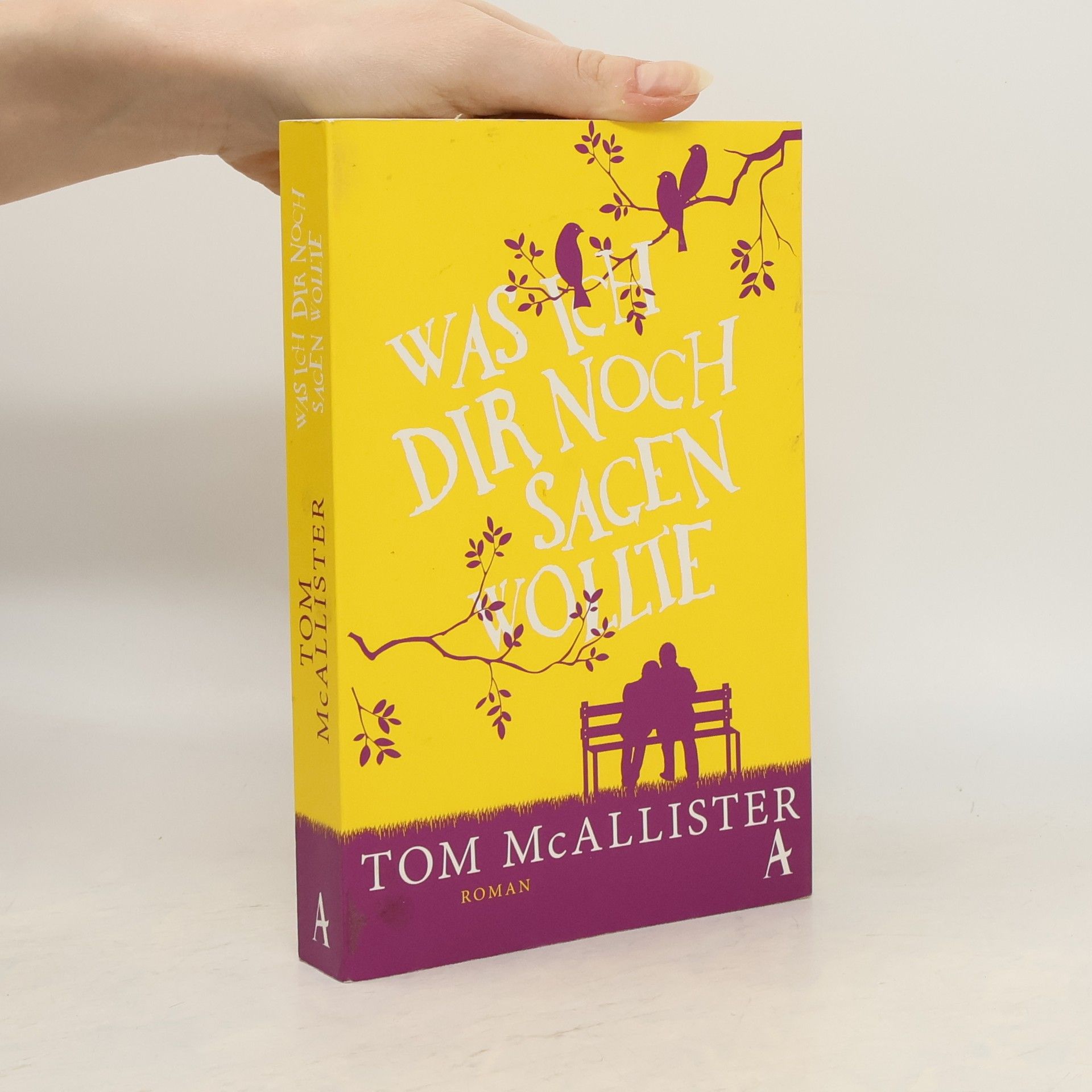 Tom McAllister Was ich dir noch sagen wollte