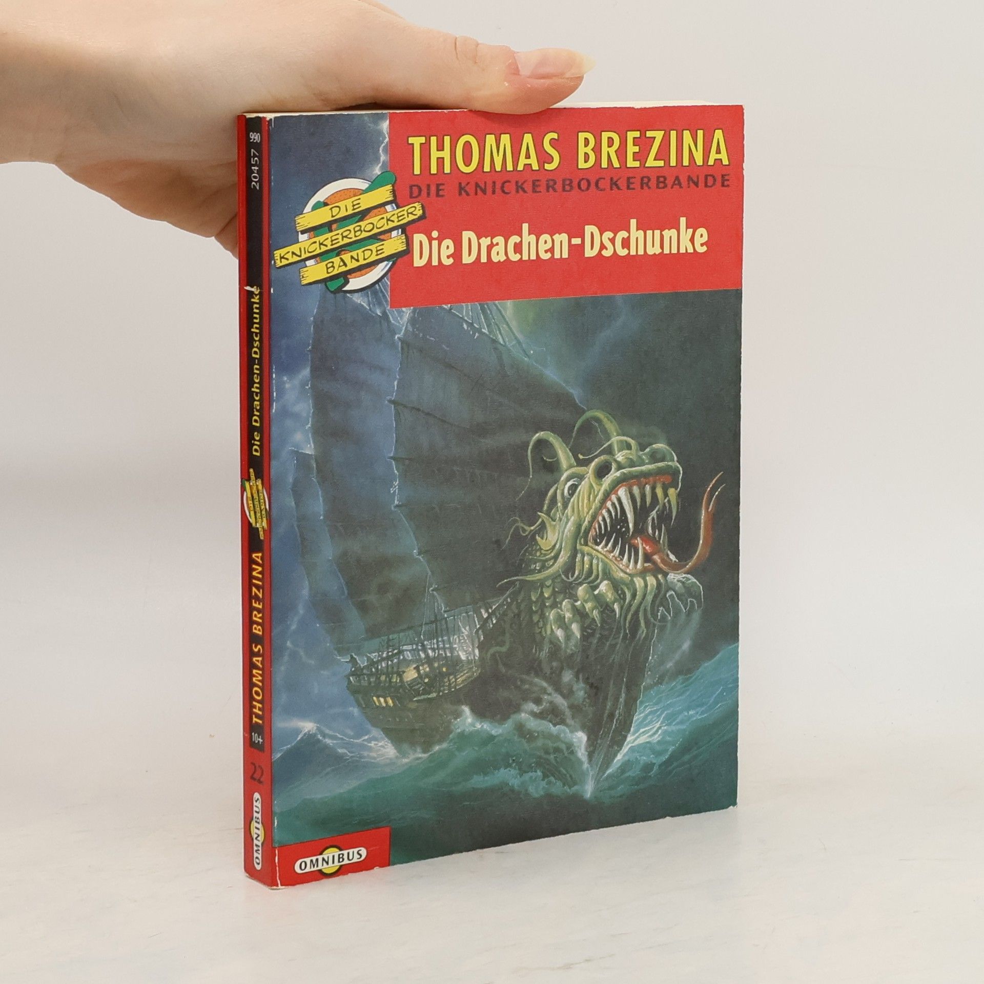 Thomas Brezina Die Drachen-Dschunke
