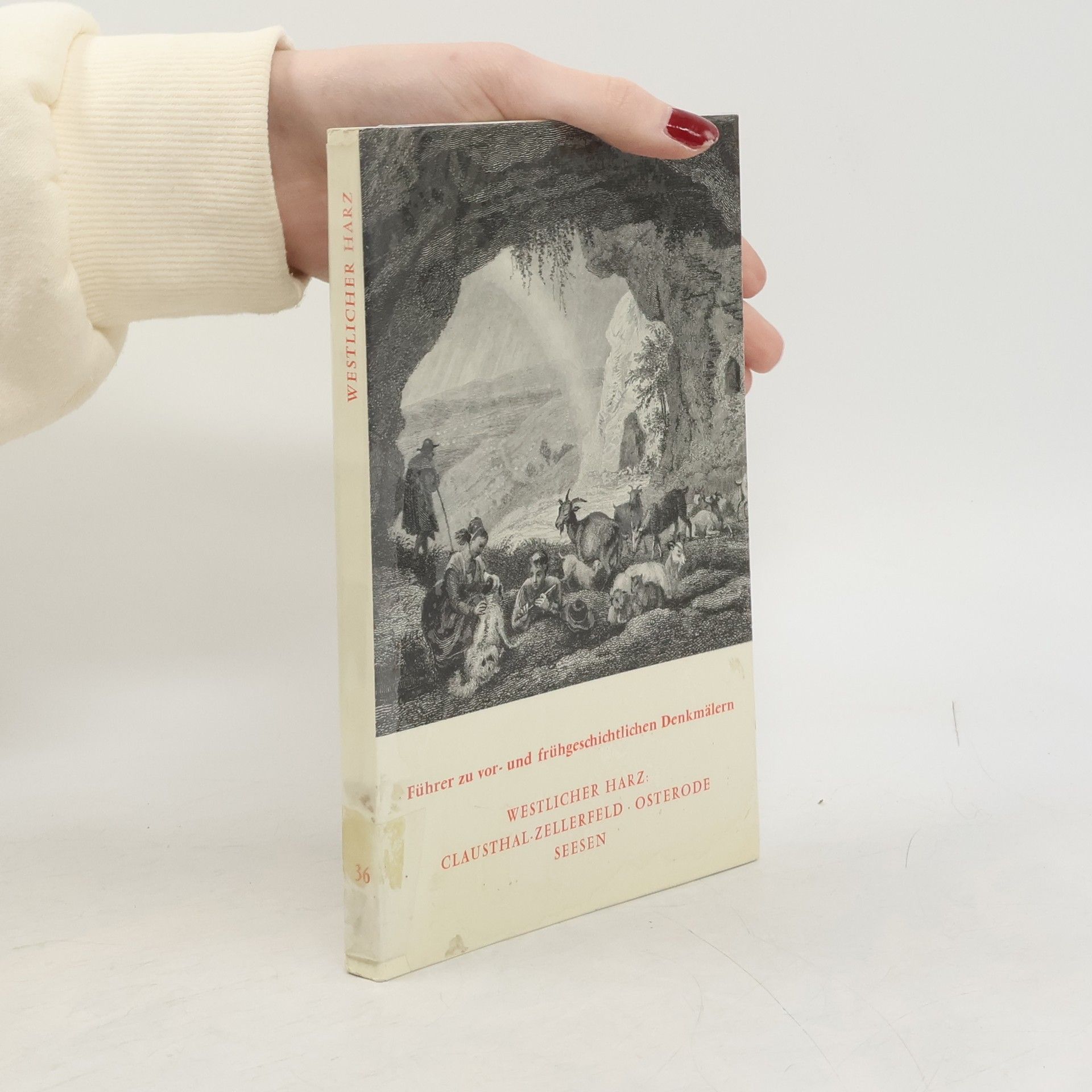 Autorenkollektiv Führer zu vor- und frühgeschichtlichen Denkmälern 36