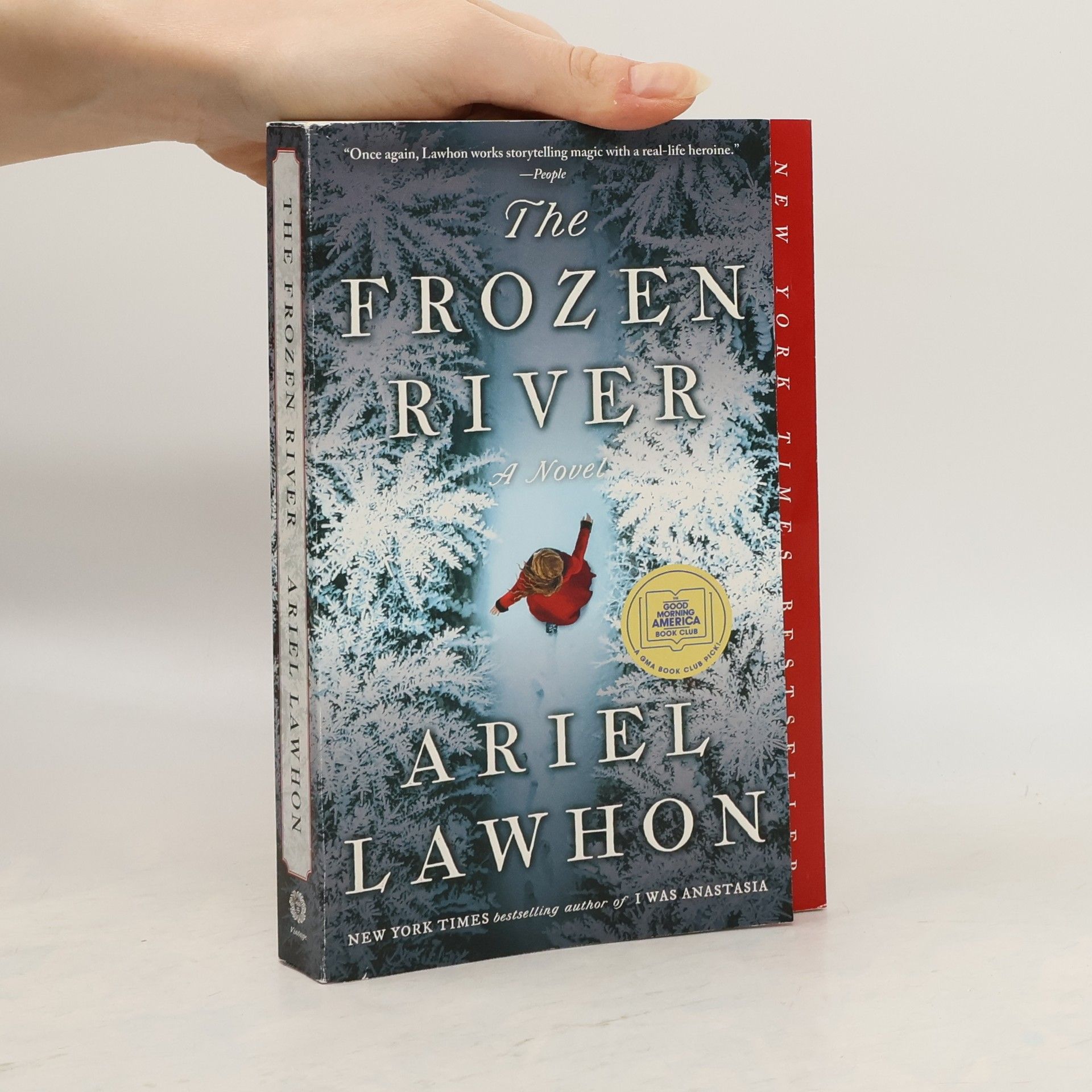Ariel Lawhon The Frozen River