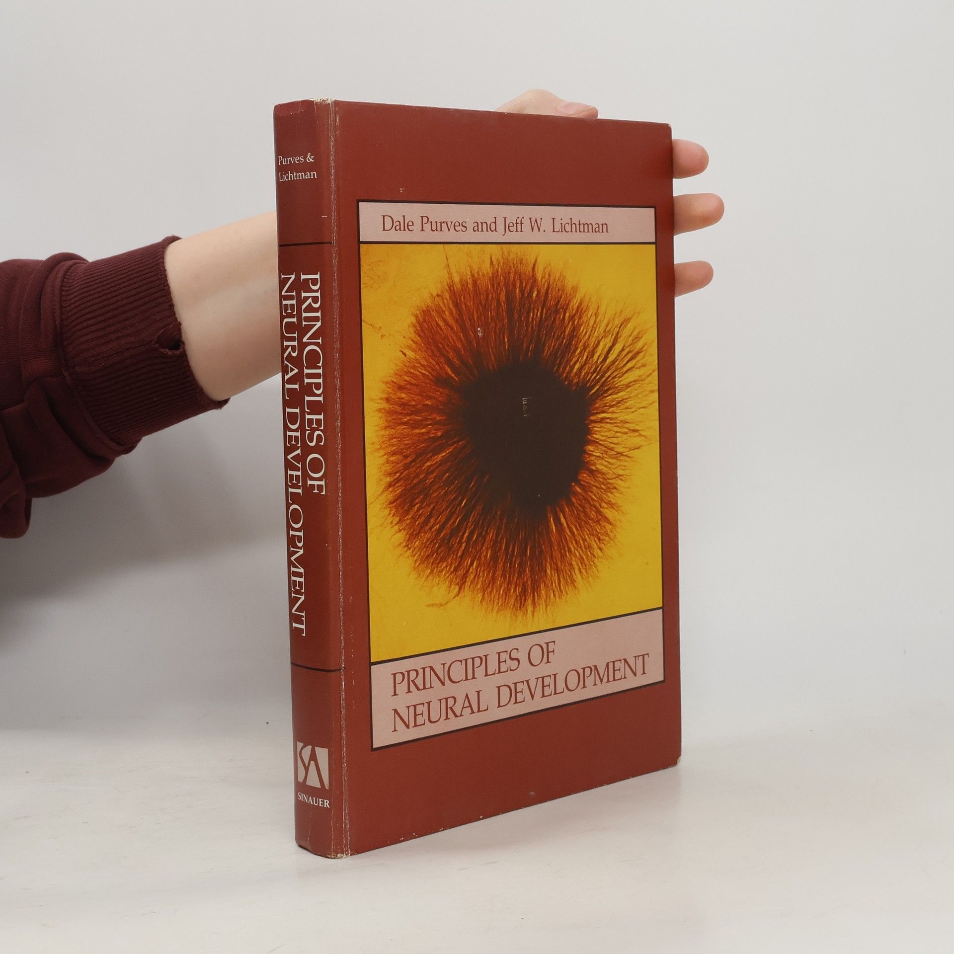 Principles of Neural Development