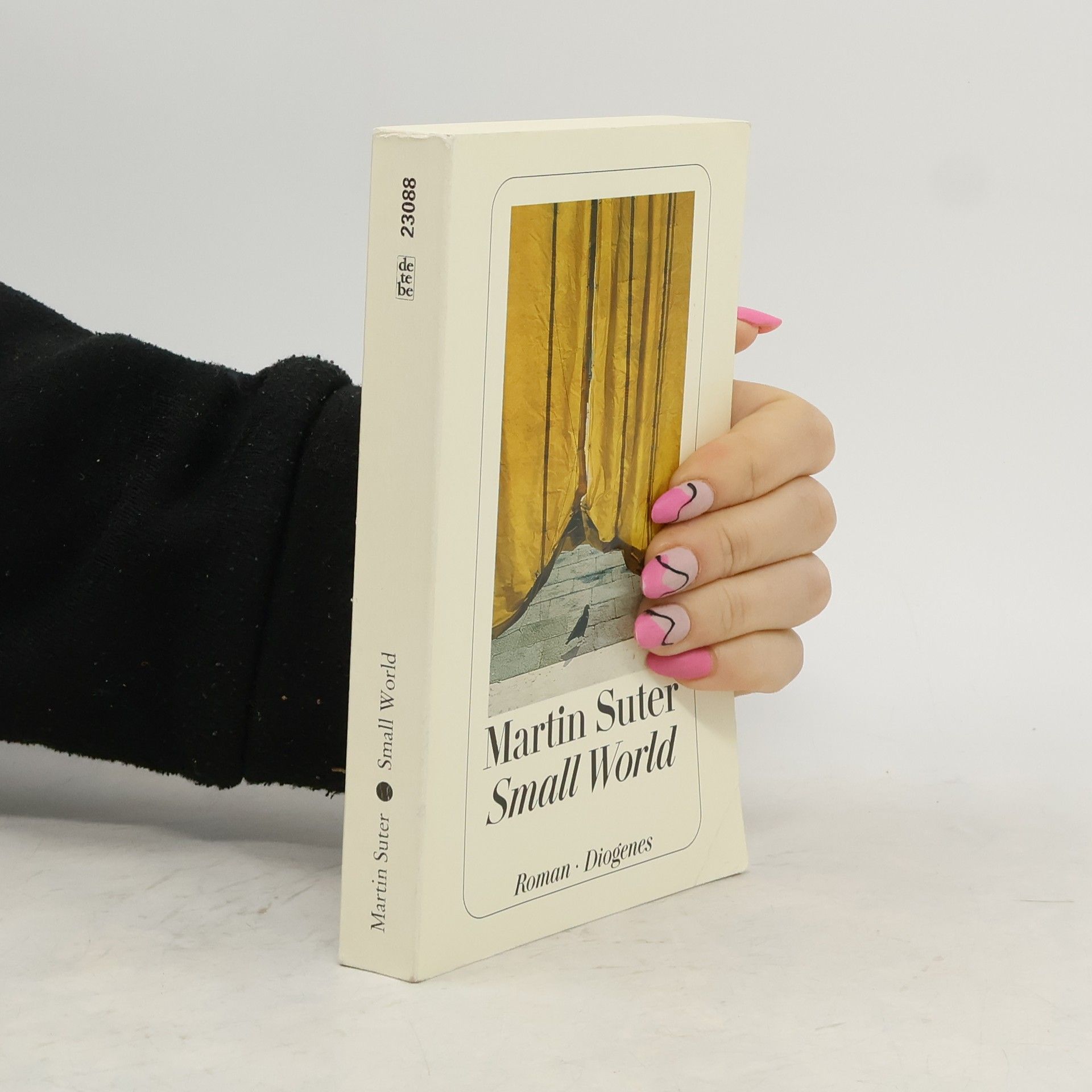 Martin Suter Small World