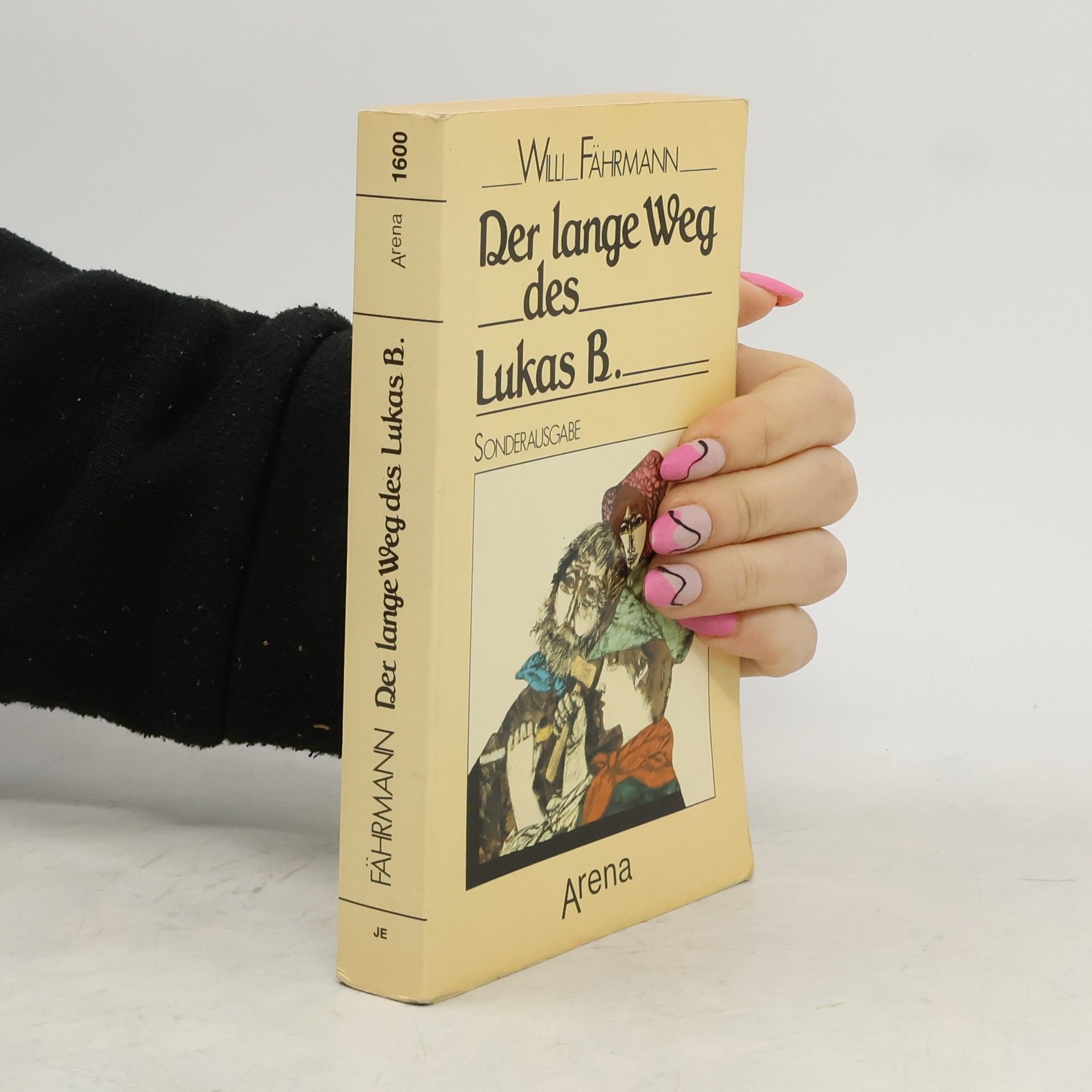Willi Fährmann Der lange Weg des Lukas B.