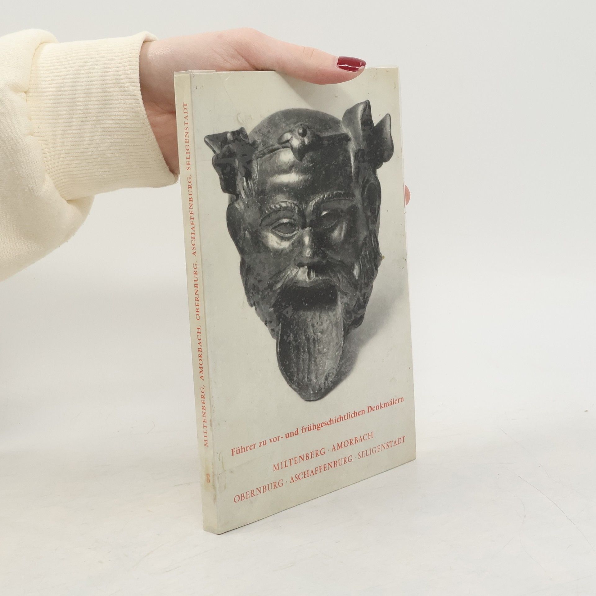 Autorenkollektiv Führer zu vor und frühgeschichtlichen Denkmälern 8