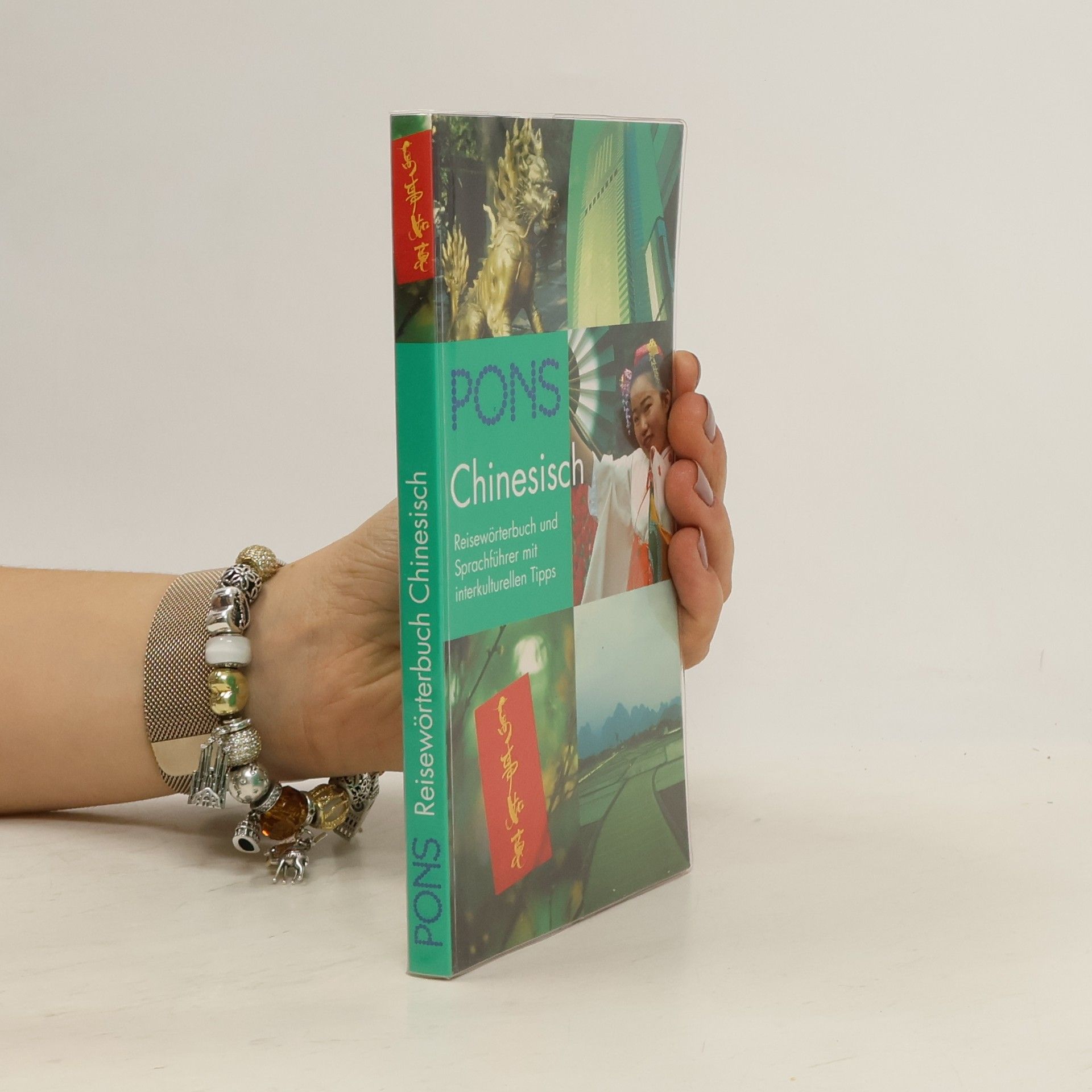 Shu-hsiung Wu PONS Reisewörterbuch