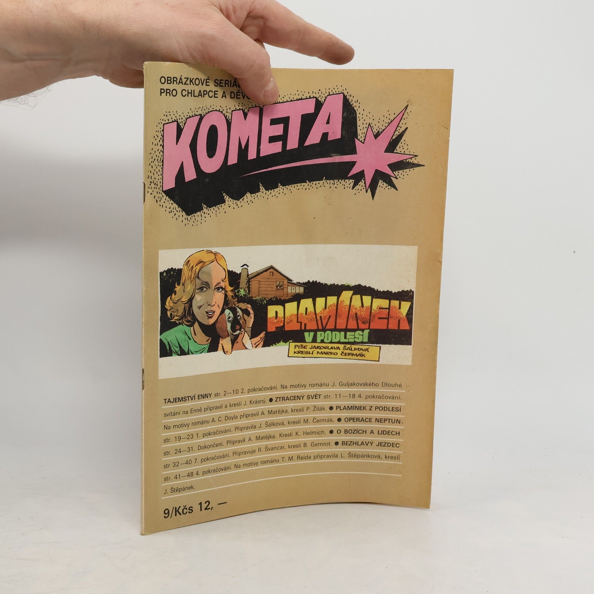 AA.VV. Kometa. Plamínek v podlesí