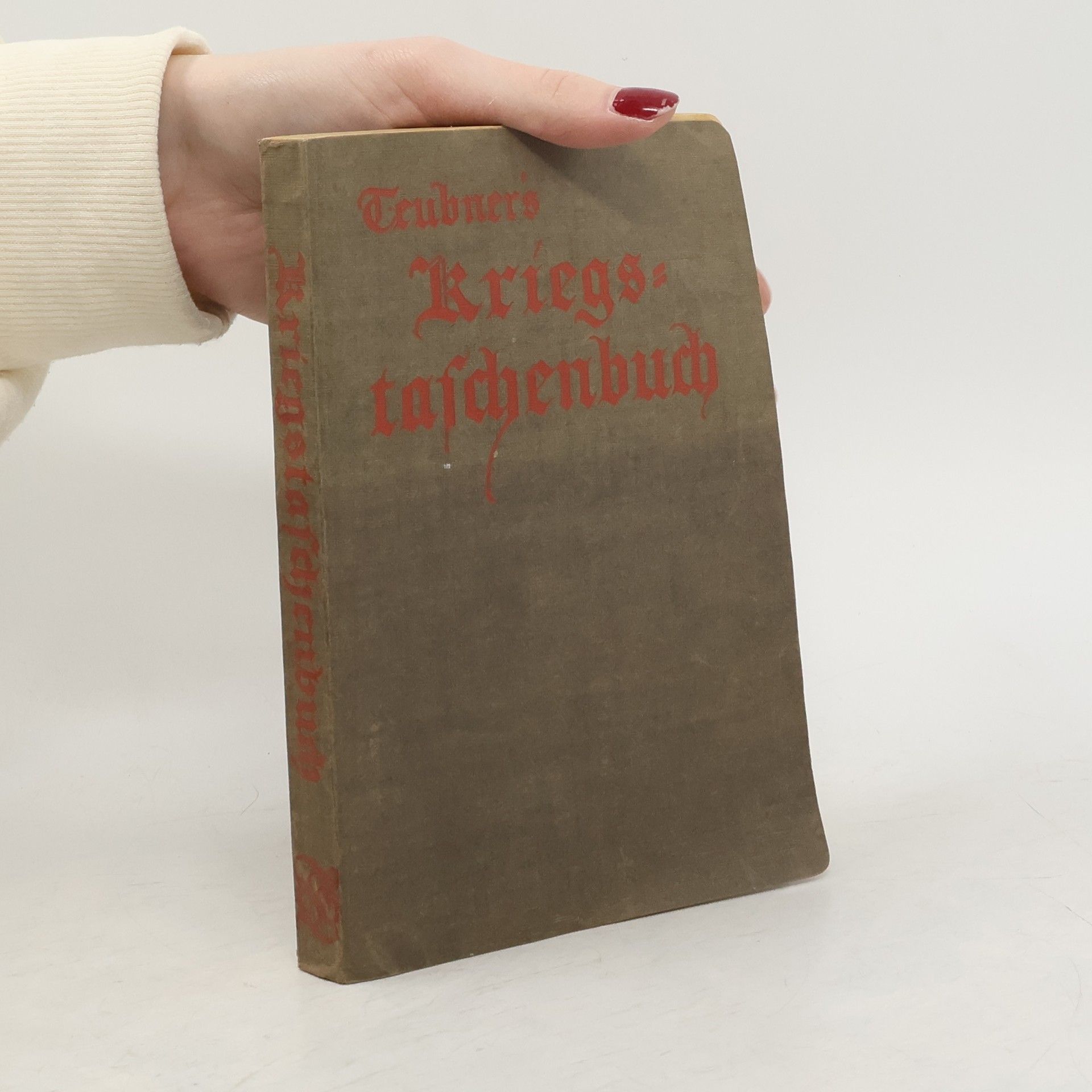 Ulrich Steindorff Kriegstaschenbuch