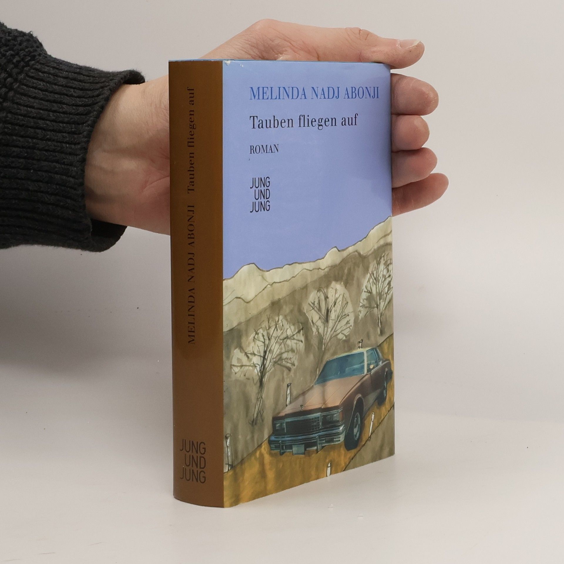 Melinda Nadj Abonji Tauben fliegen auf