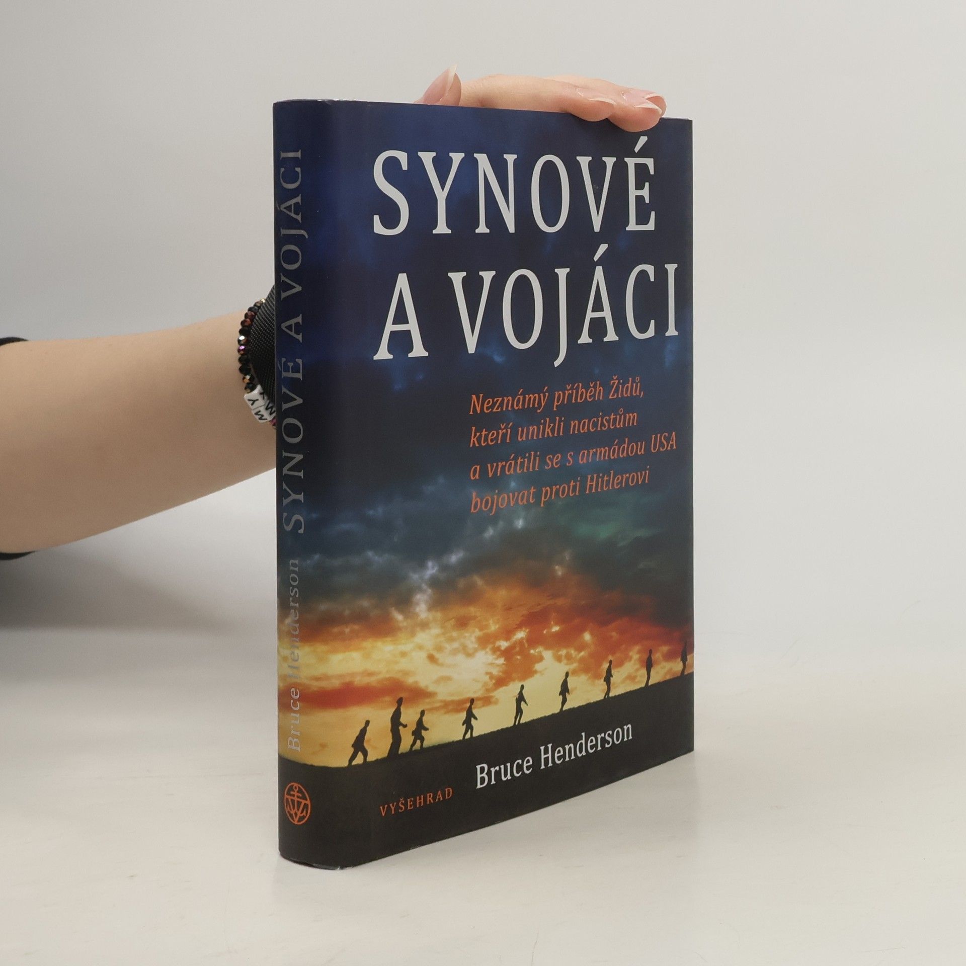 Bruce Henderson Synové a vojáci