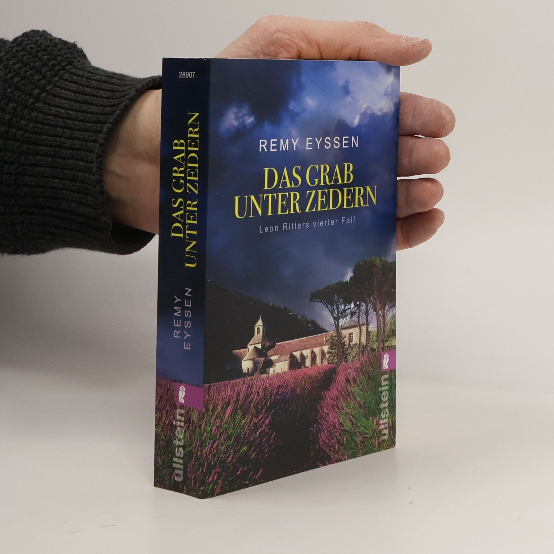 Remy Eyssen Das Grab unter Zedern