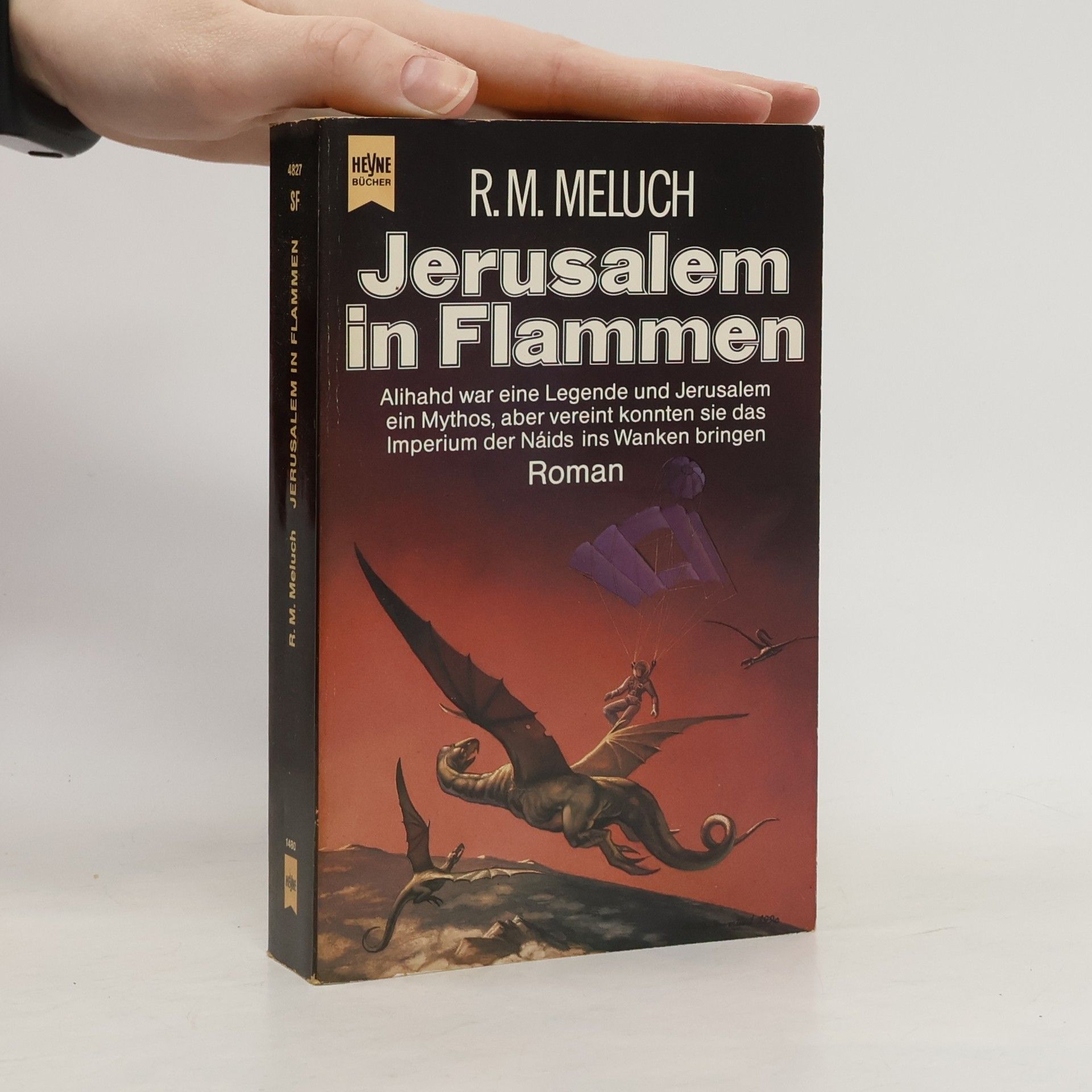 Rebecca M. Meluch Jerusalem in Flammen